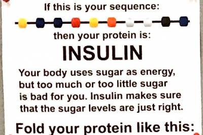 https://rockedu.rockefeller.edu/wp-content/uploads/2019/01/IMG_4331-insulin-400x267-1549571388.jpg
