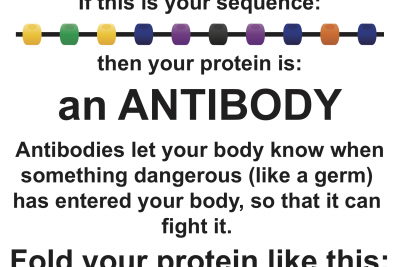 https://rockedu.rockefeller.edu/wp-content/uploads/2019/01/Puzzle-3_protein-folding-Antibody-400x267.png