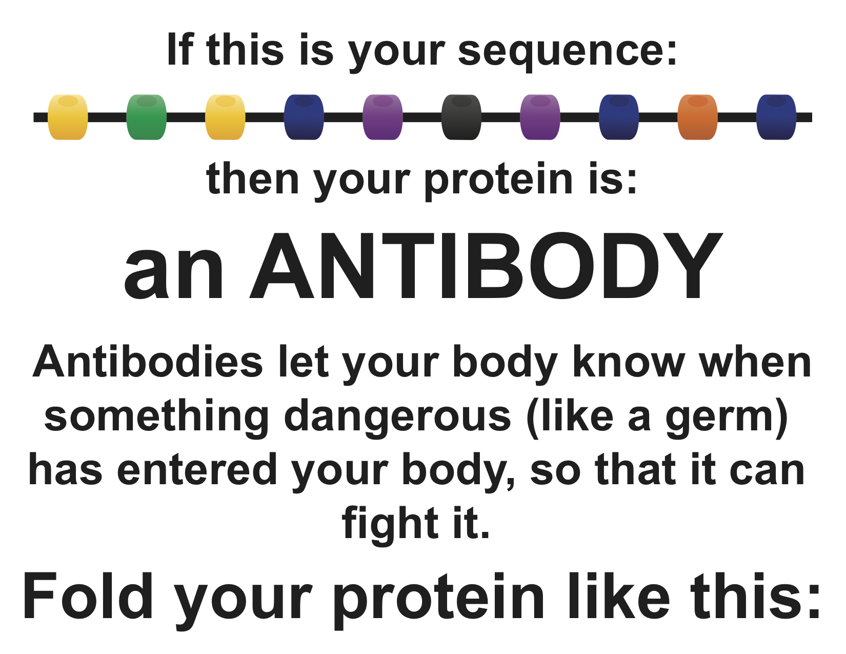 https://rockedu.rockefeller.edu/wp-content/uploads/2019/01/Puzzle-3_protein-folding-Antibody.png