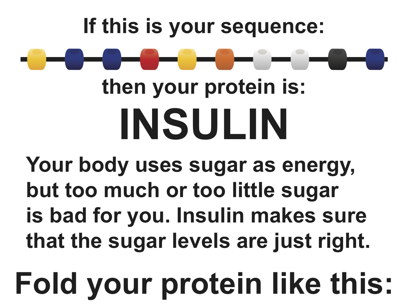 https://rockedu.rockefeller.edu/wp-content/uploads/2019/01/Puzzle-3_protein-folding-Insulin.png