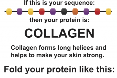 https://rockedu.rockefeller.edu/wp-content/uploads/2019/01/Puzzle3_protein-folding-Collagen-400x267.png