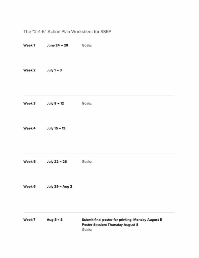 Blank Adaptive Action Plan Worksheets for SSRP (and General)
