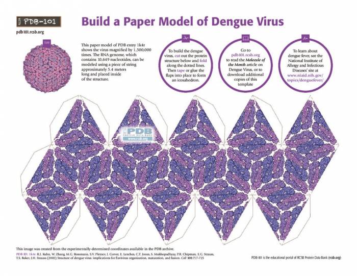 Dengue Virus Origami