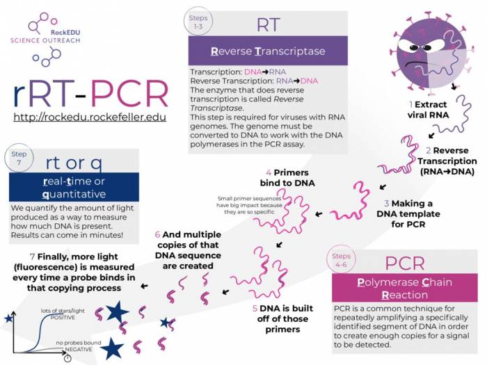 rRT-PCR info