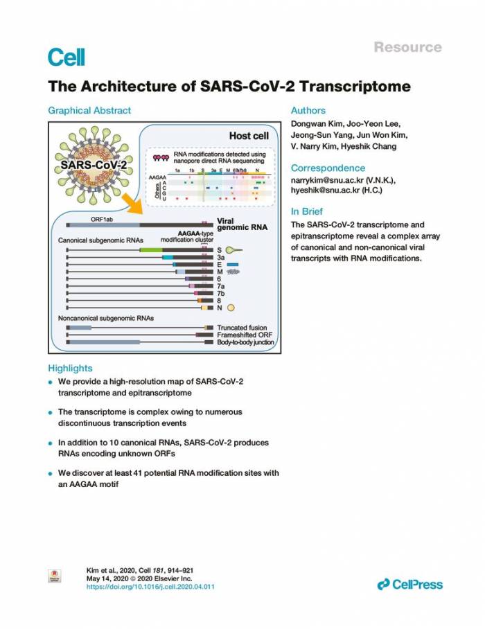 The Architecture of SARS-CoV-2 Transcriptome