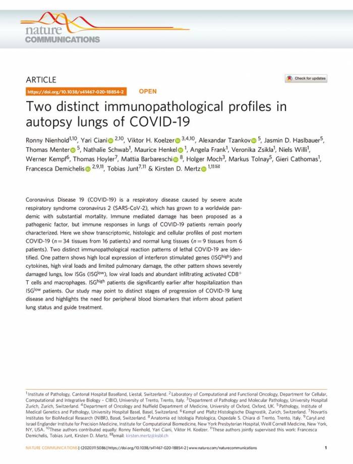 Two distinct immunopathological profiles in autopsy lungs of COVID-19
