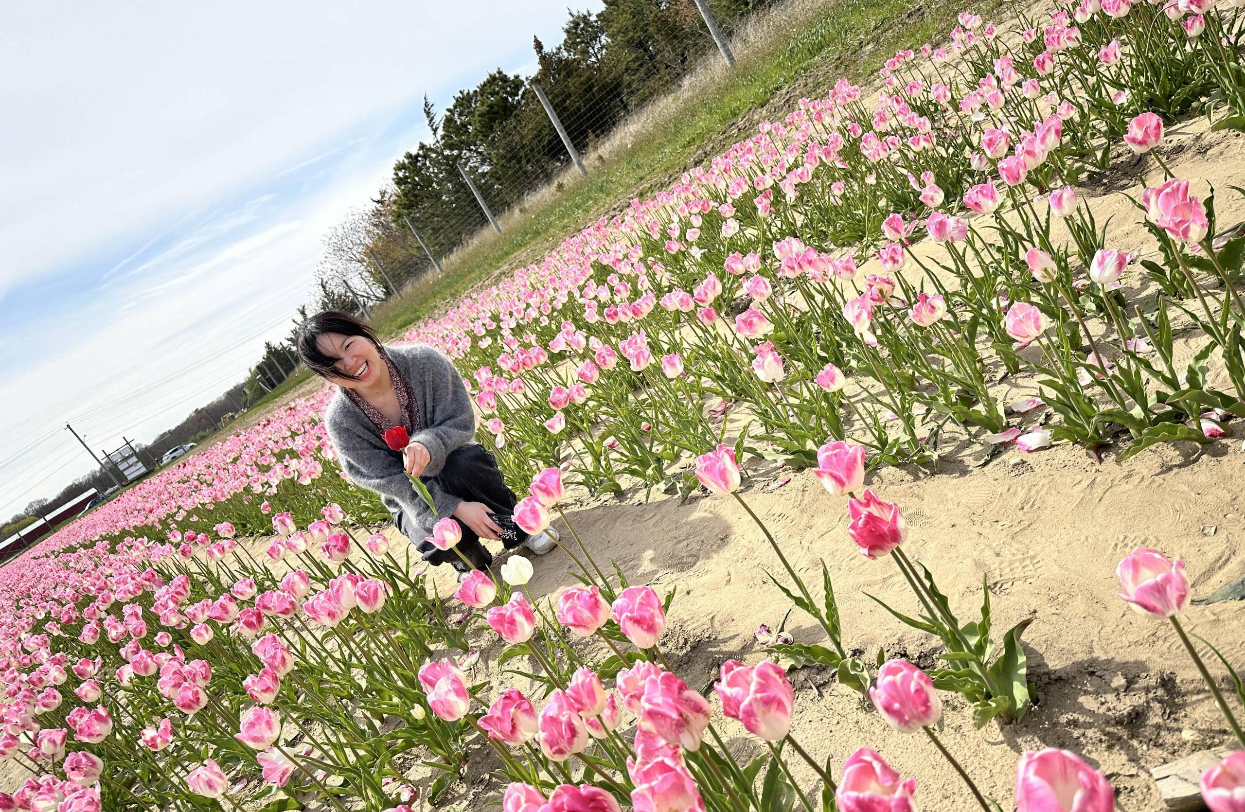 Picture of Vicky in a field of tulips