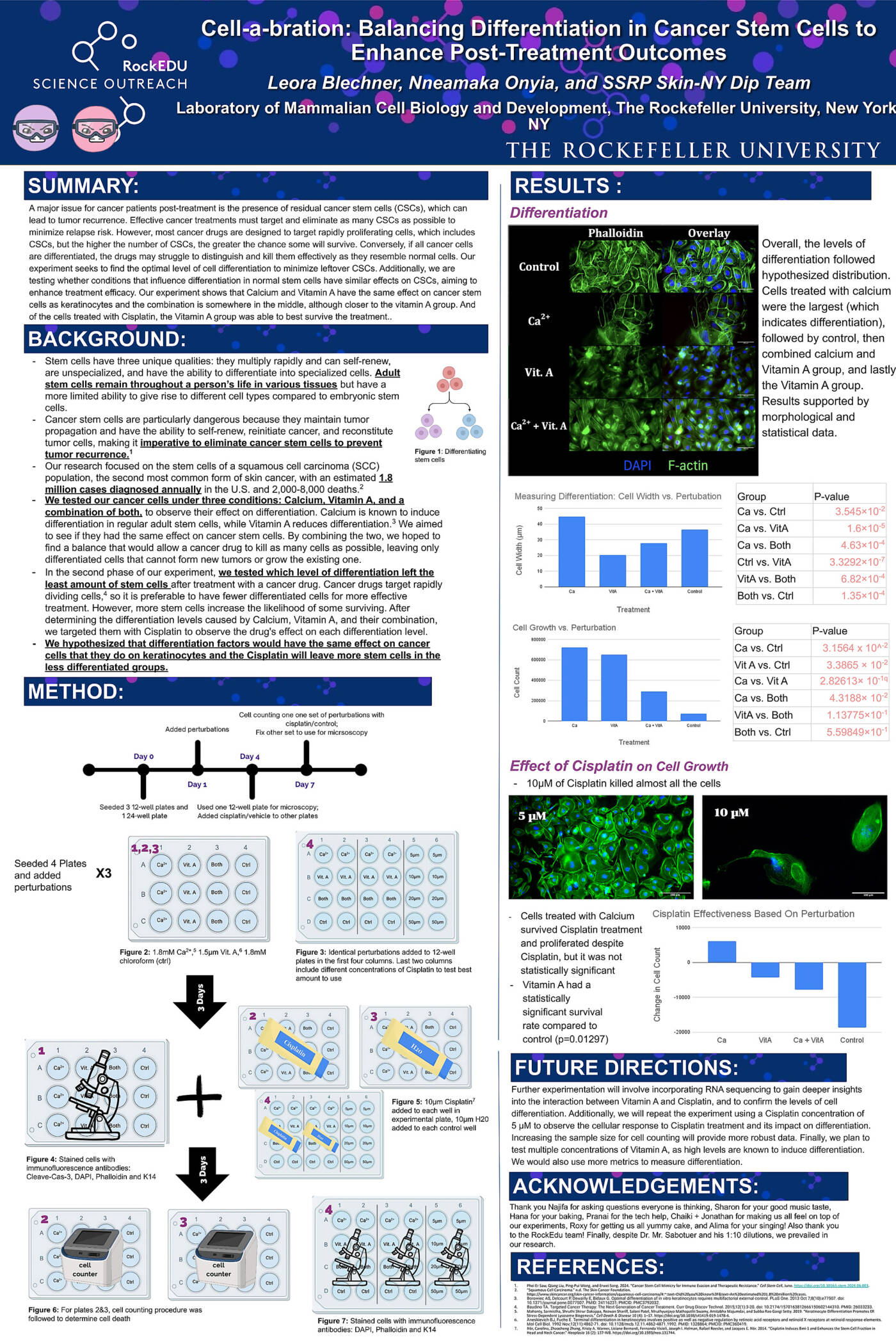 Cell-a-bration: Balancing Differentiation in Cancer Stem Cells to Enhance Post-Treatment Outcomes