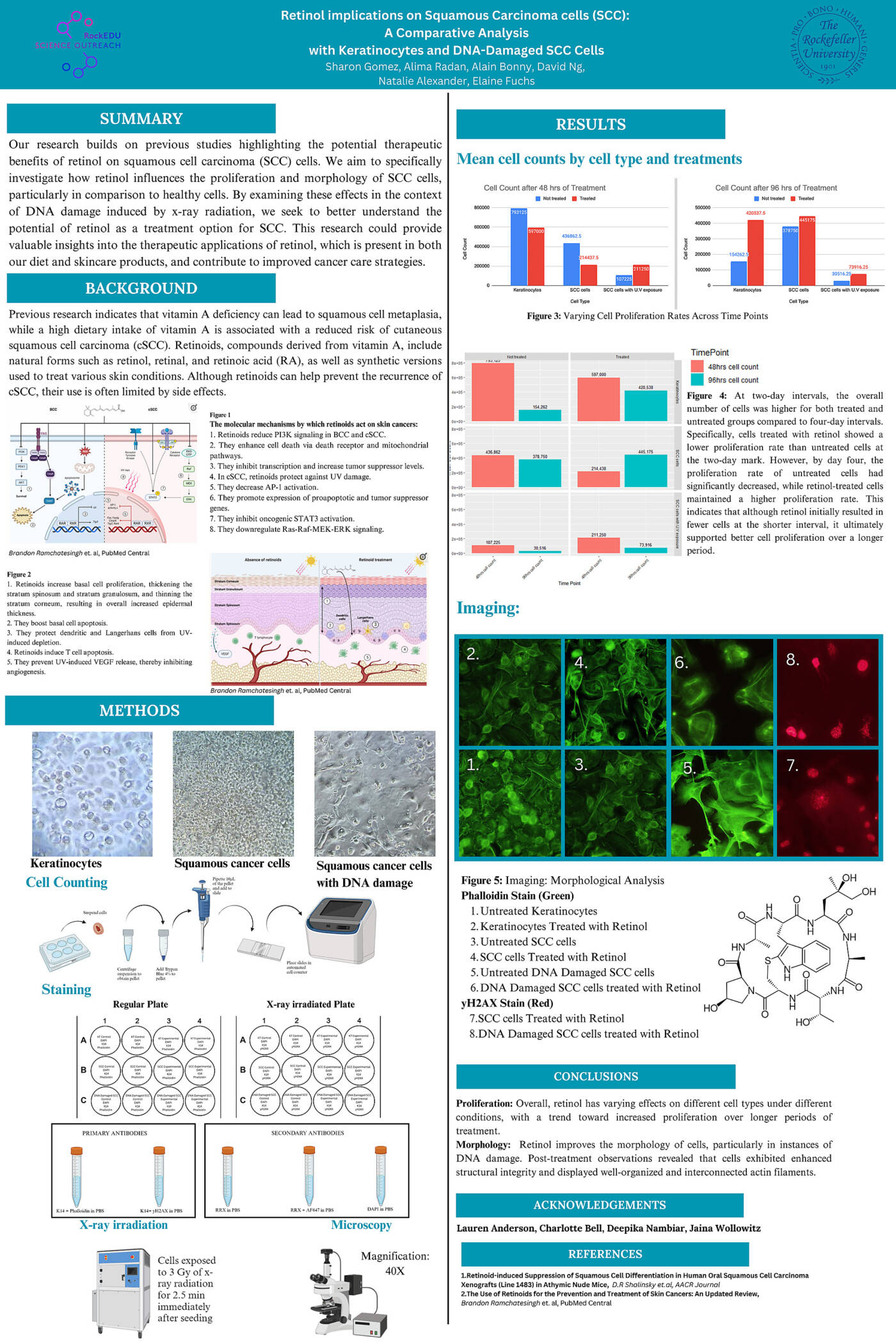 Retinol Implications on Squamous Cell Carcinoma: A Comparative Analysis with Keratinocytes and DNA-Damage