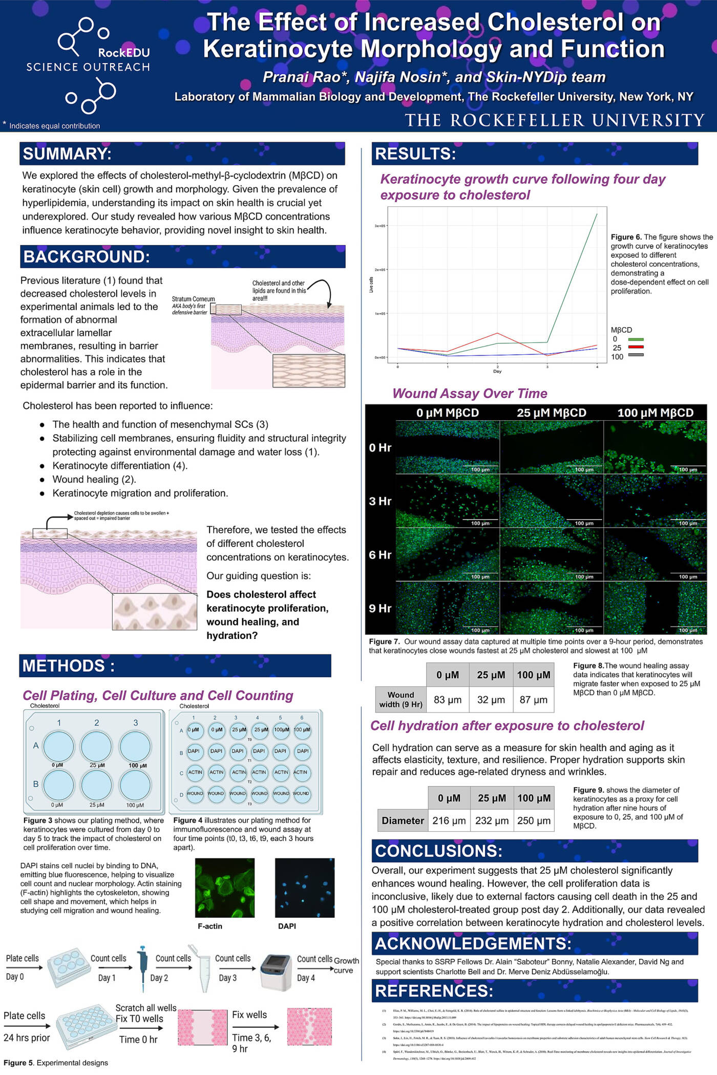 The Effect of Increased Cholesterol on Keratinocyte Physiology