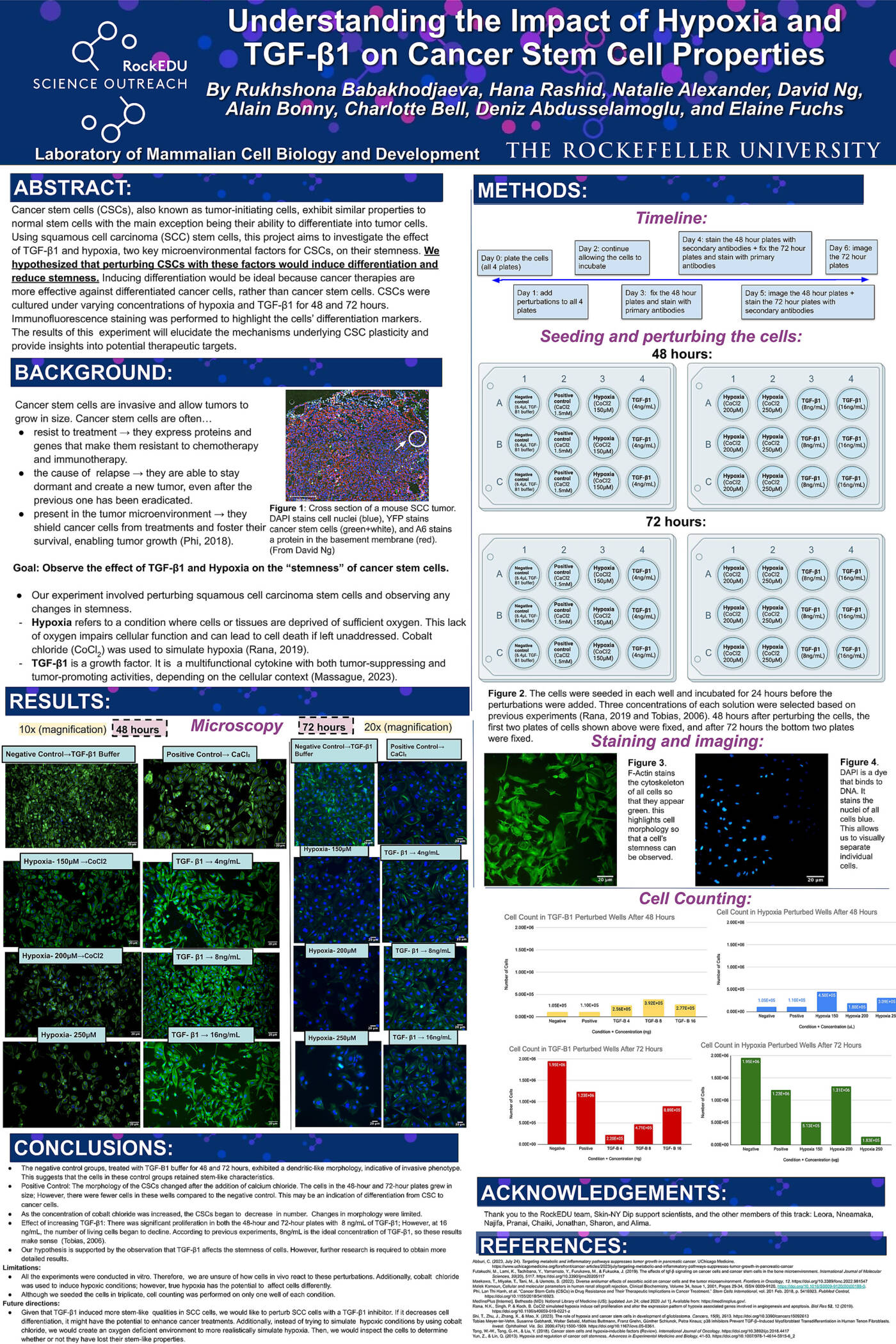 Understanding the Impact of Hypoxia and TGF-B1 on Cancer Stem Cell Properties