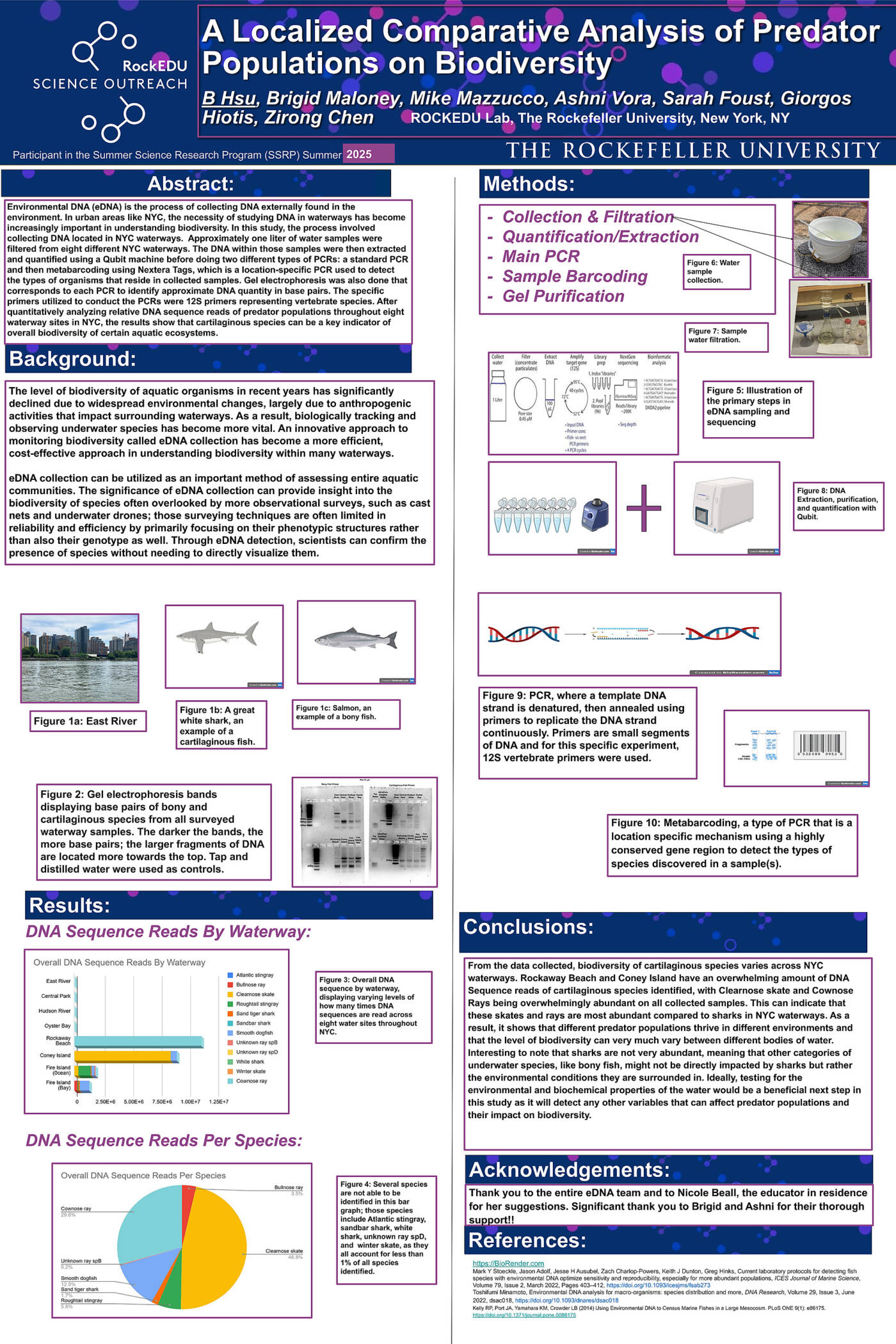 A Localized Comparative Analysis of Predator Populations on Biodiversity