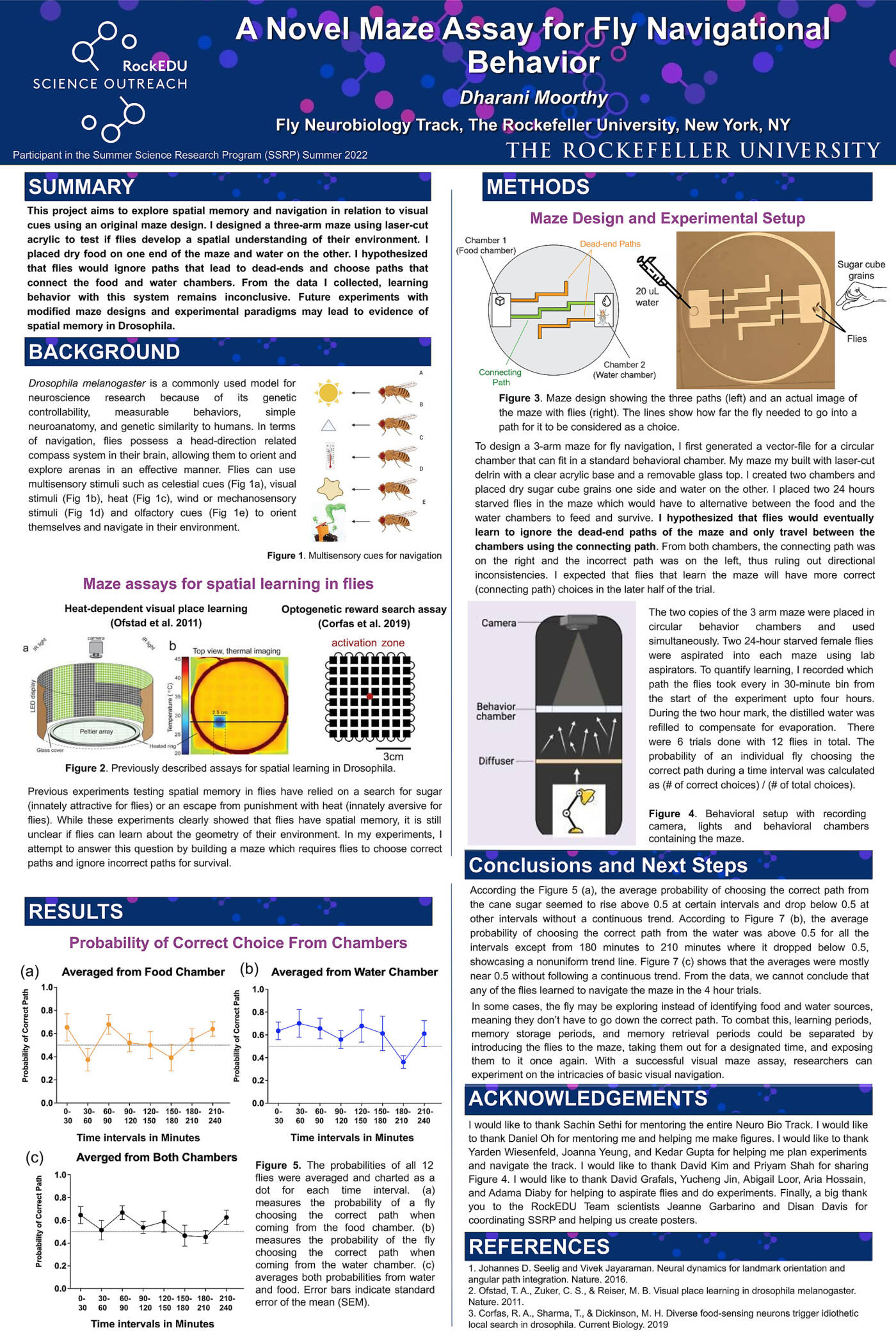 A Novel Maze Assay for Fly Navigational Behavior