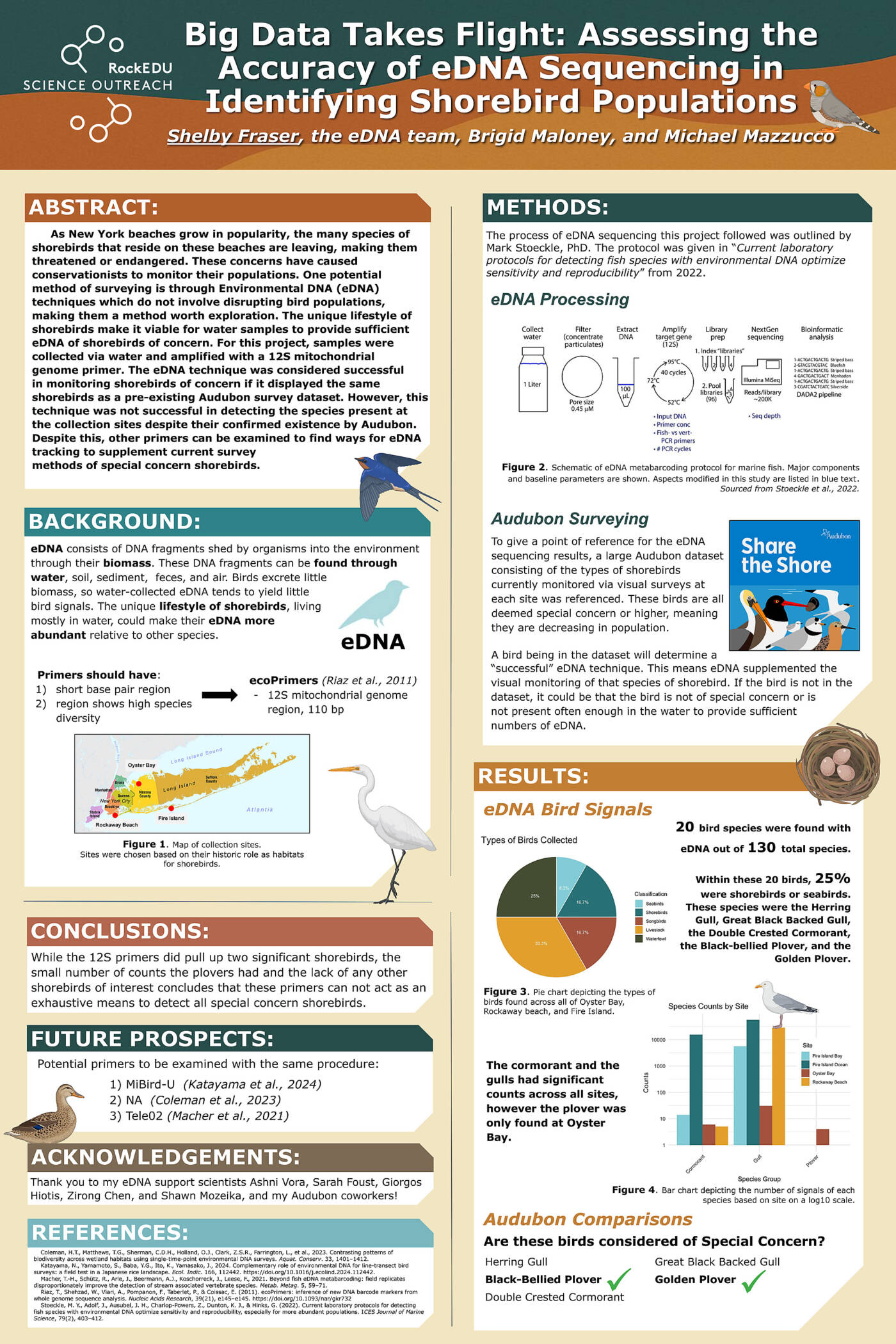Big Data Takes Flight: Assessing the Accuracy of eDNA Sequencing in Identifying Shorebird Populations