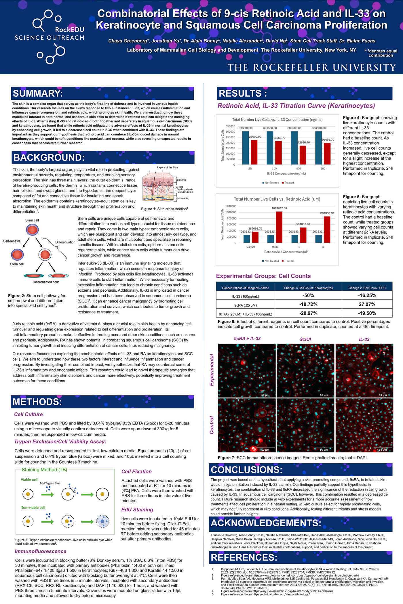 Combinatorial Effects of 9-Cis Retinoic Acid and IL-33 on Keratinocyte and Squamous Cell Carcinoma Proliferation