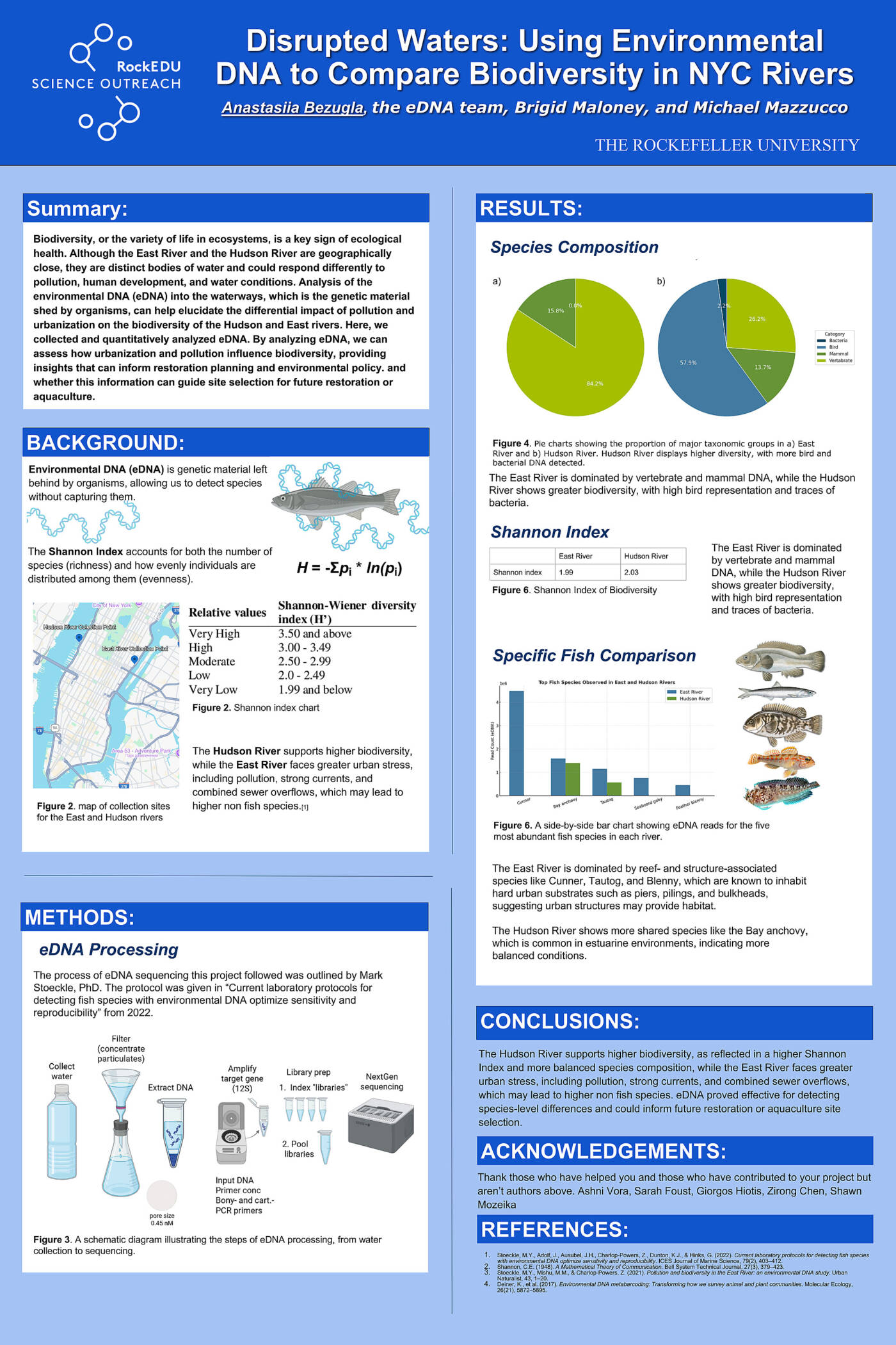 Disrupted Waters: Using Environmental DNA to Compare Biodiversity in NYC Rivers