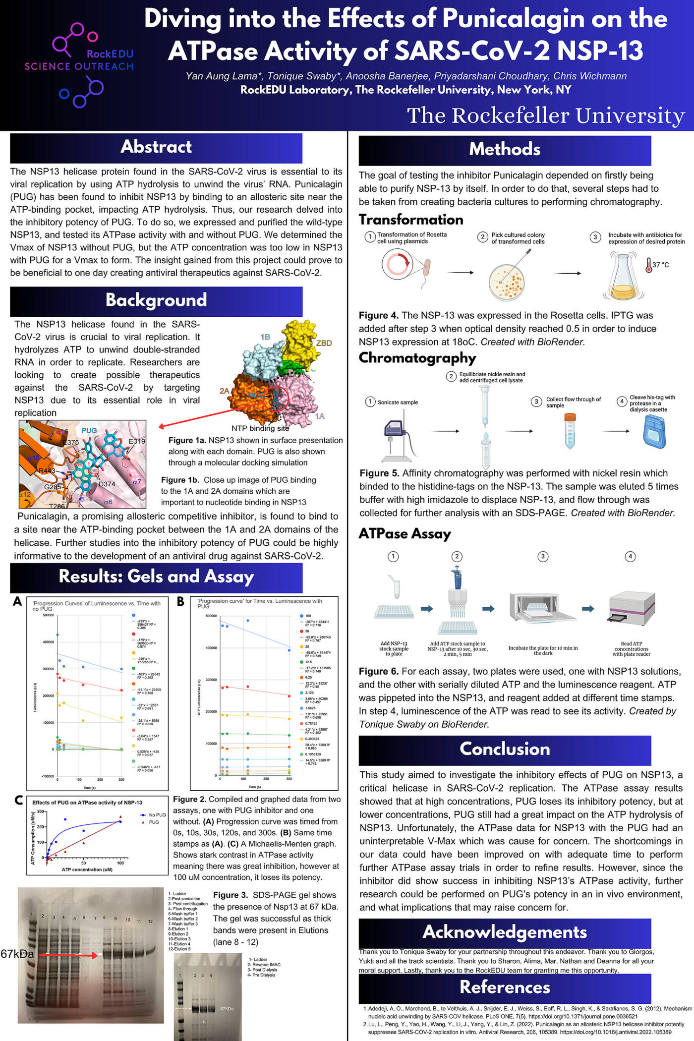 Diving into the Effects of Punicalagin on the ATPase Activity of SARS-CoV-2 NSP-13
