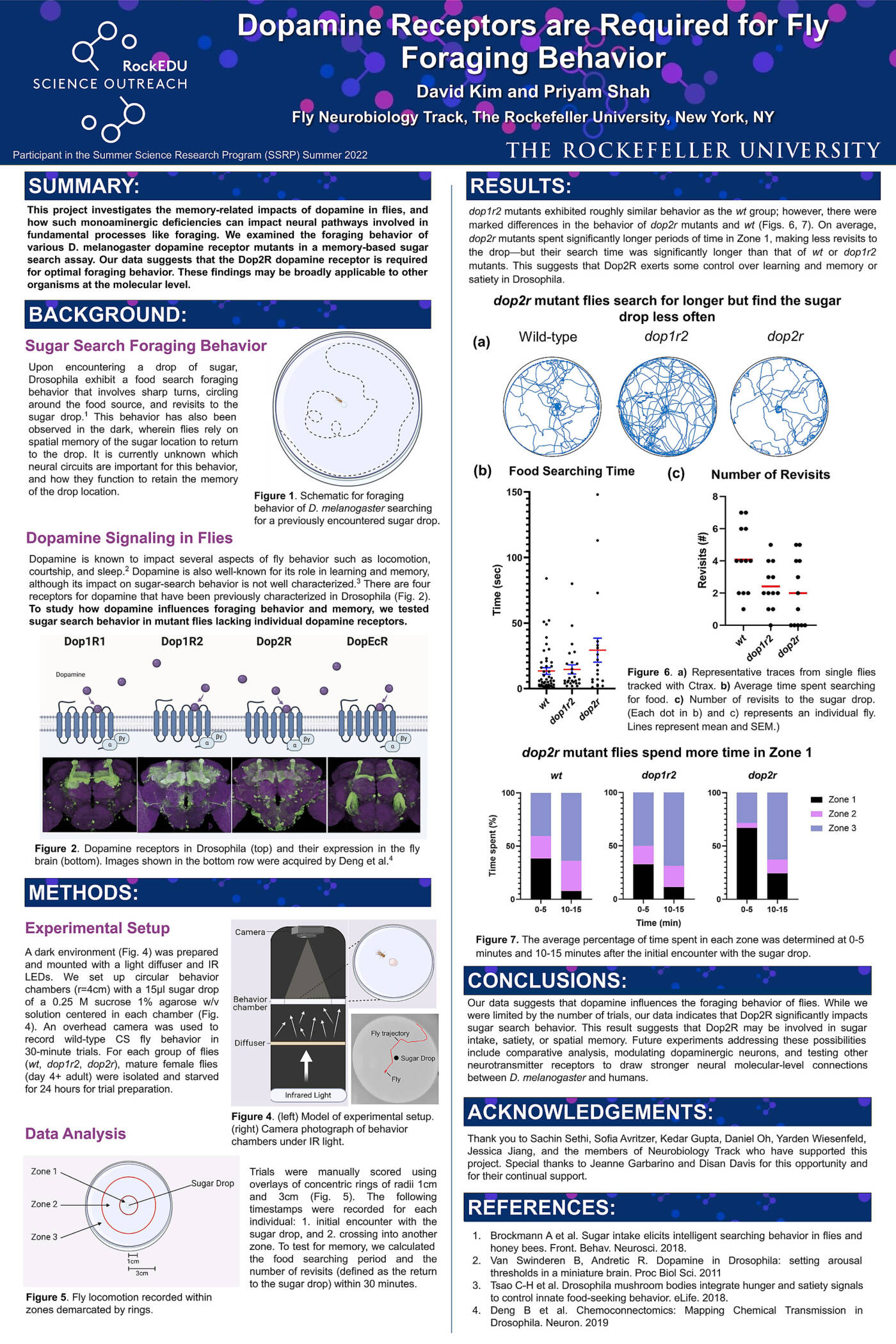 Dopamine Receptors are Required for Fly Foraging Behavior