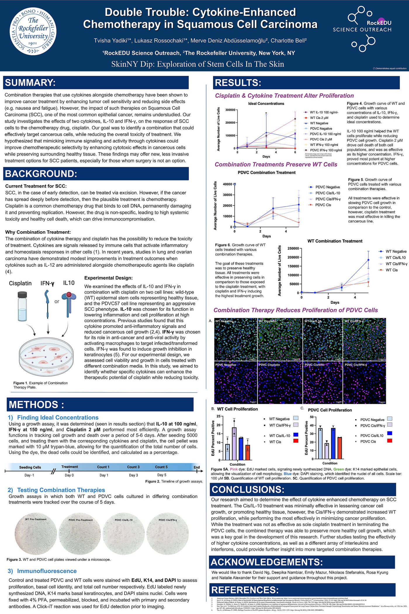 Double Trouble: Cytokine-Enhanced Chemotherapy in Squamous Cell Carcinoma