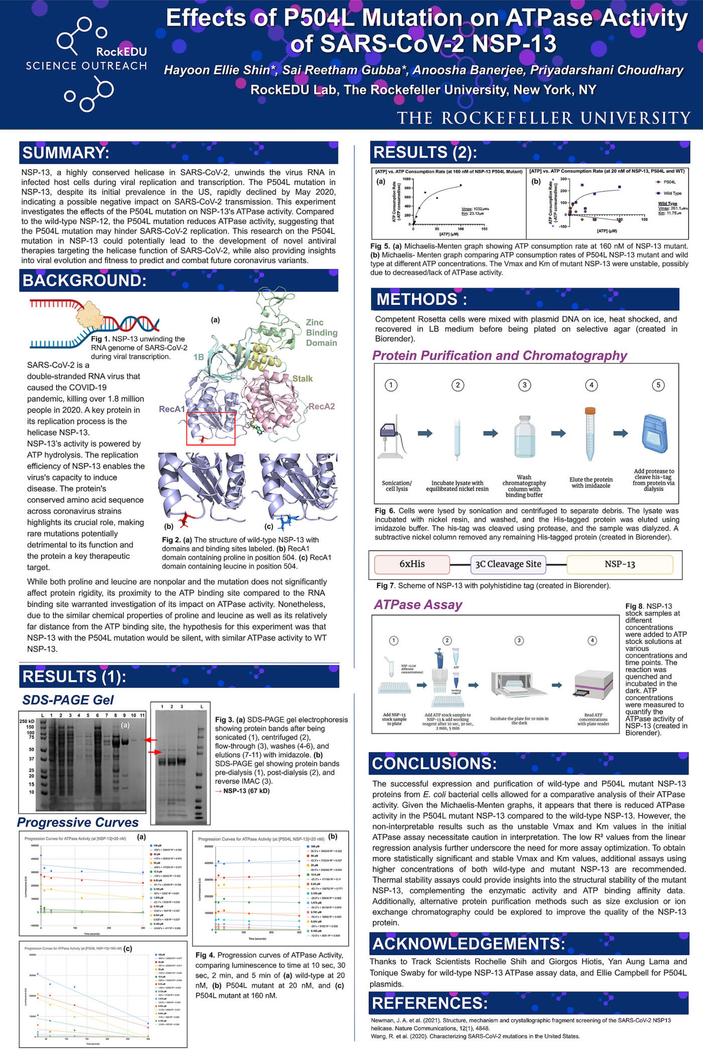 Effects of P504L Mutation on ATPase Activity of SARS-CoV-2 NSP-13