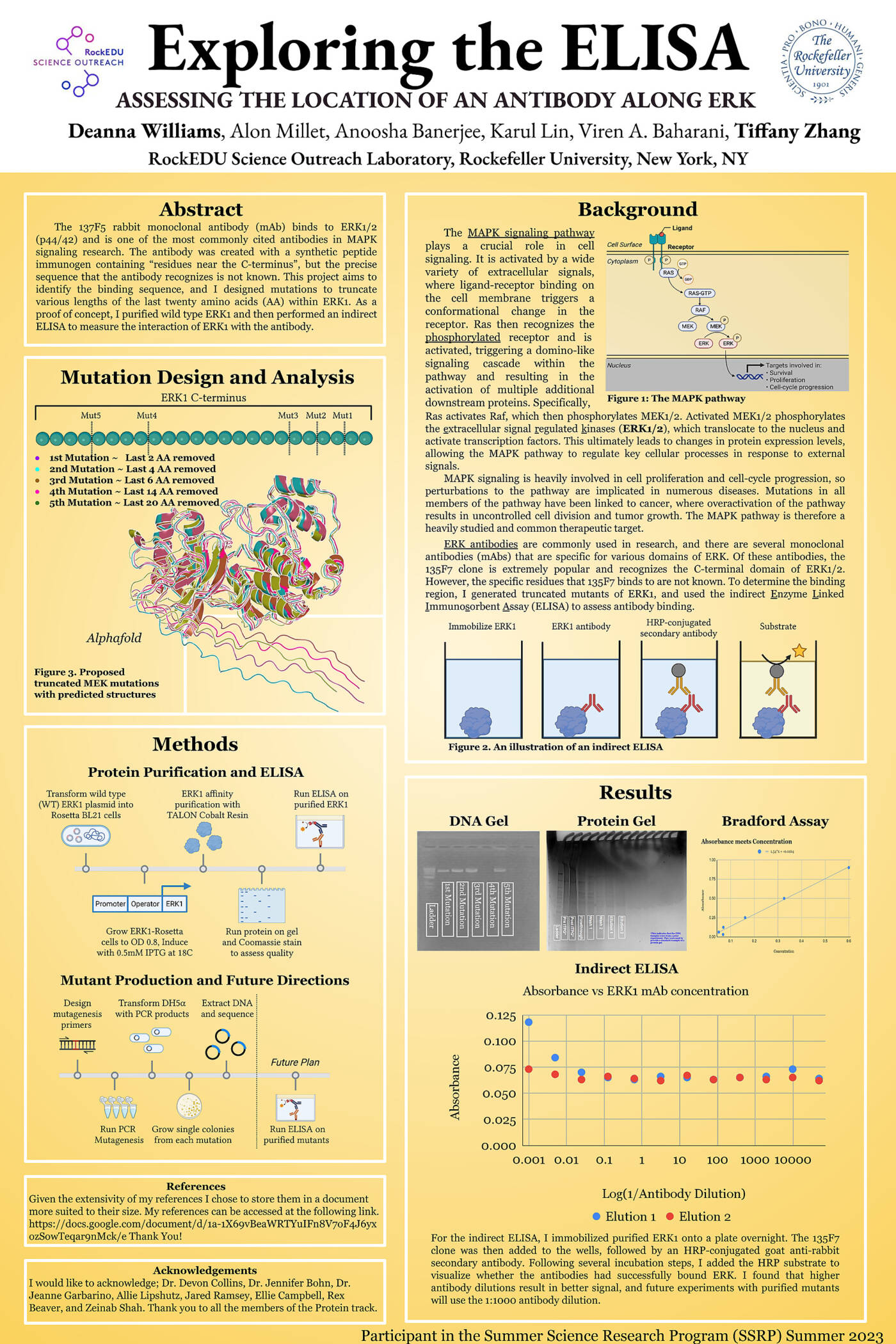 Exploring the ELISA: Discovering the Location of an Antibody Along ERK