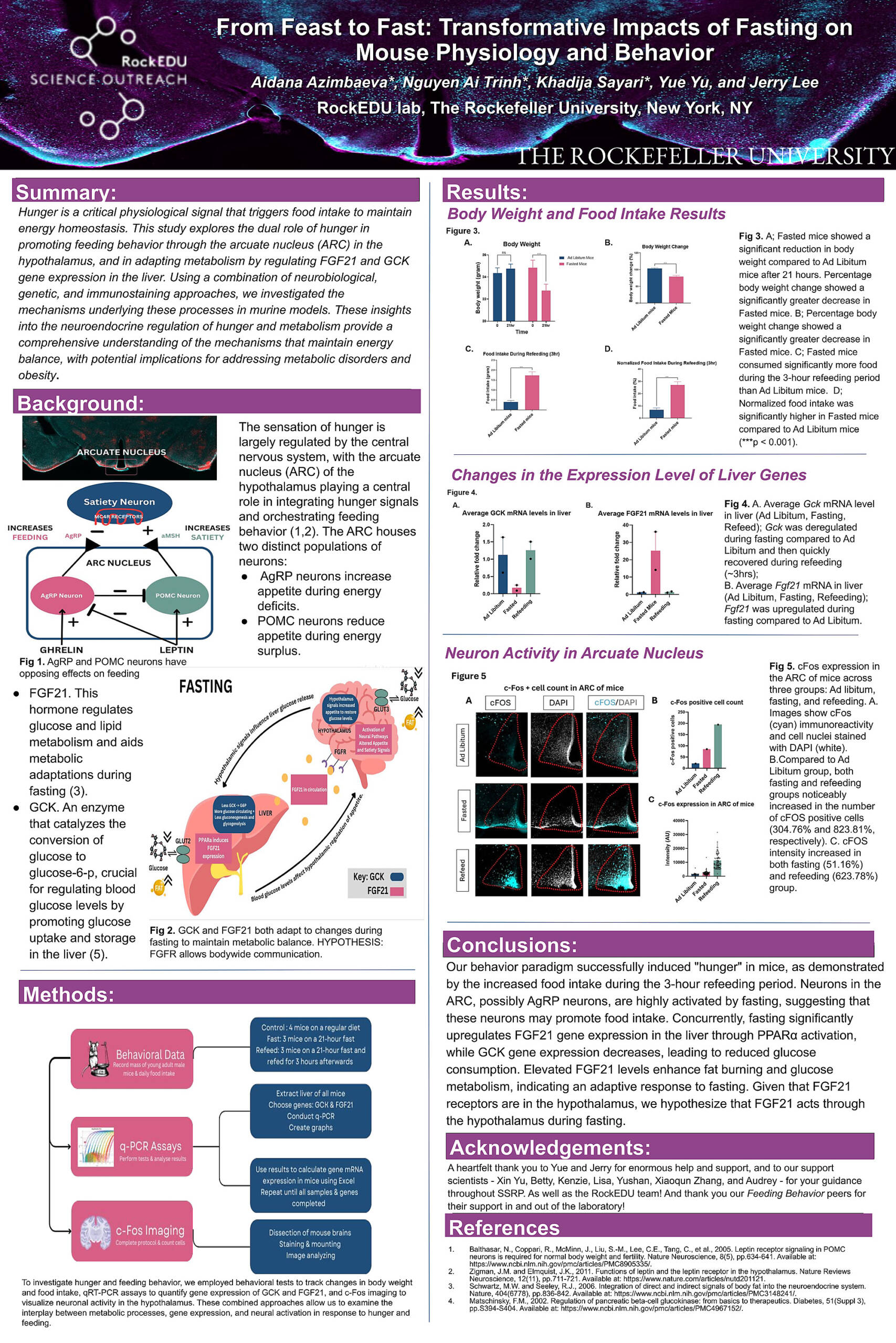 Scientific Posters Produced by RockEDU Students