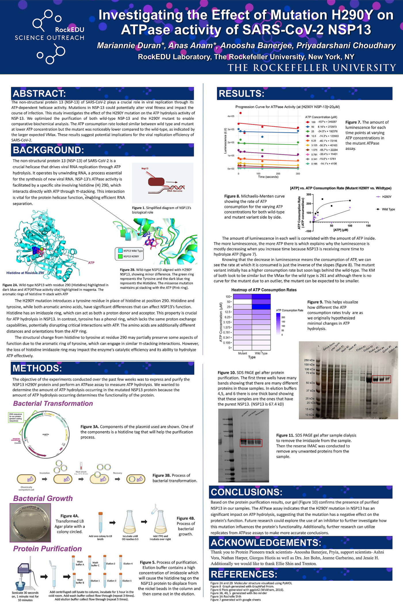 Investigating Effect of Mutation H290Y on ATPase Activity of SARS-CoV-2 NSP13