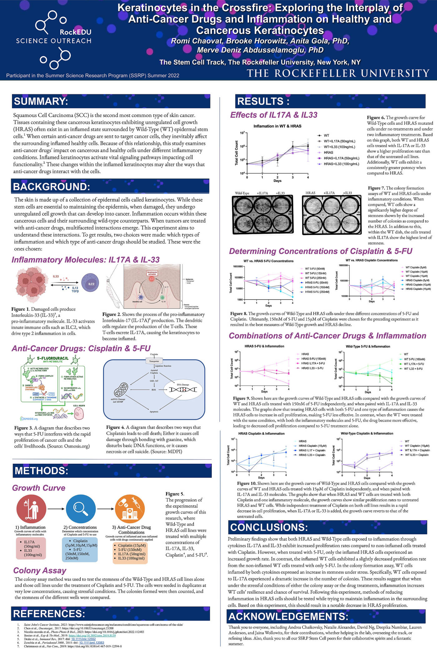 Keratinocytes in the Crossfire: Exploring the Interplay of Anti-Cancer Drugs and Inflammation on Healthy and Cancerous Keratinocytes