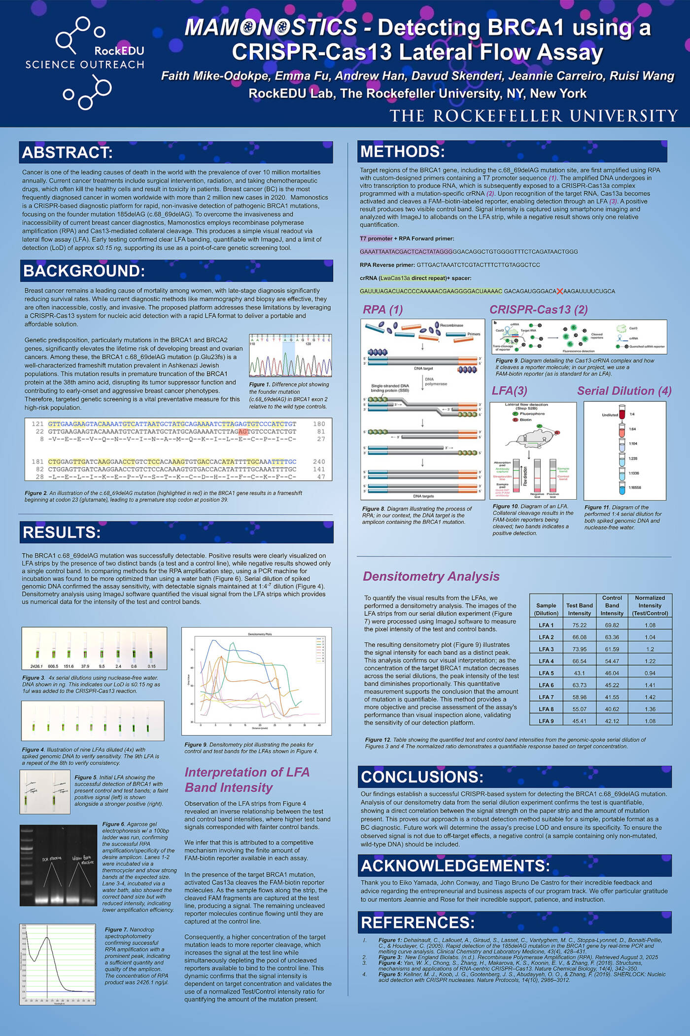 MAMONOSTICS - Detecting BRCA1 using a CRISPR-Cas13 Lateral Flow Assay