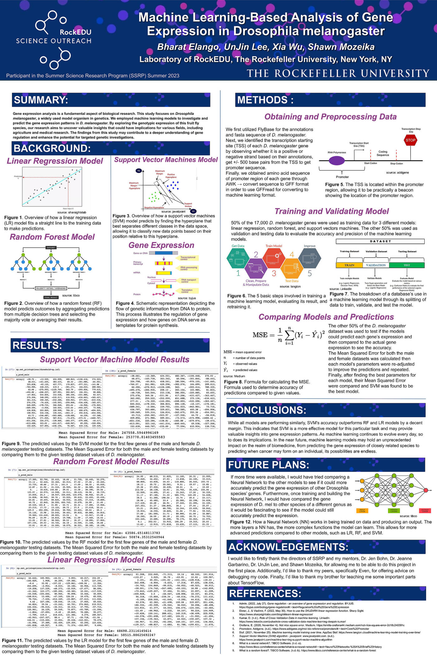 Machine Learning-Based Analysis of Gene Expression in Drosophila melanogaster