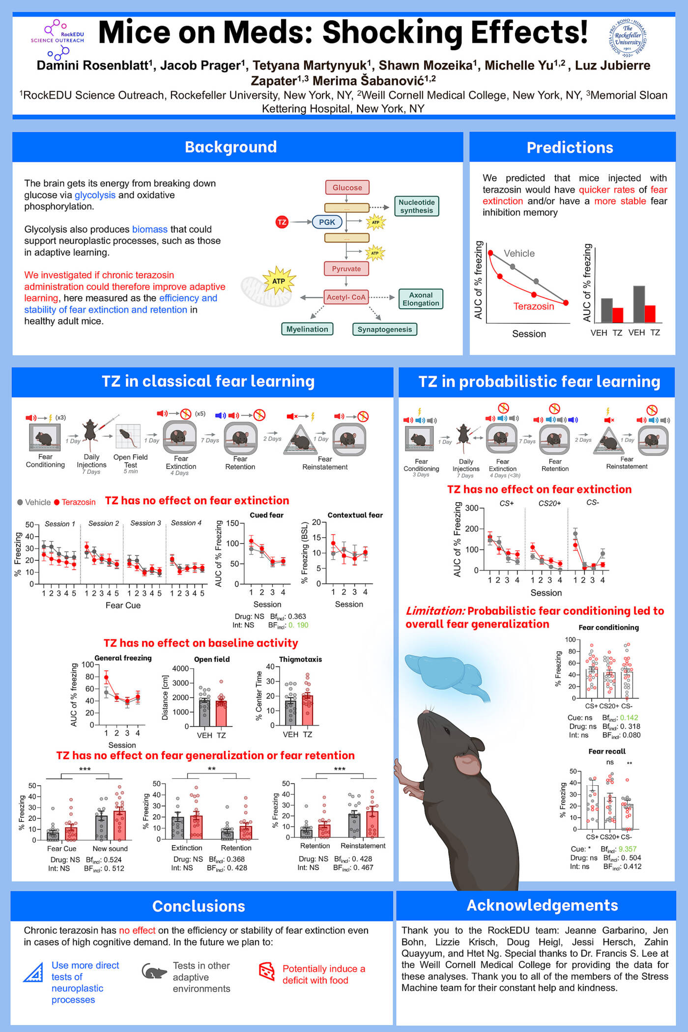 Mice on Meds: Shocking Effects