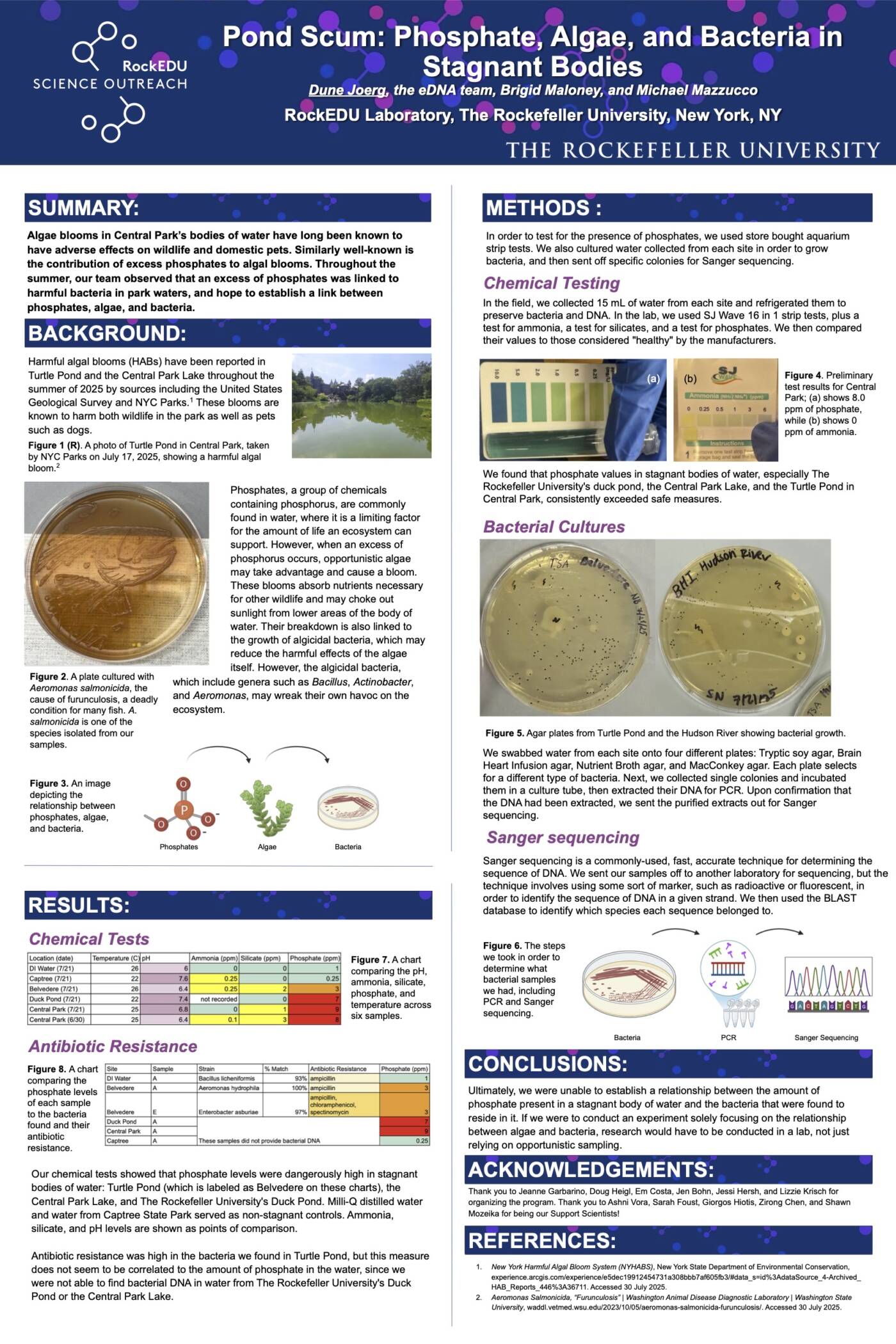 Pond Scum: Phosphate, Algae, and Bacteria in Stagnant Bodies