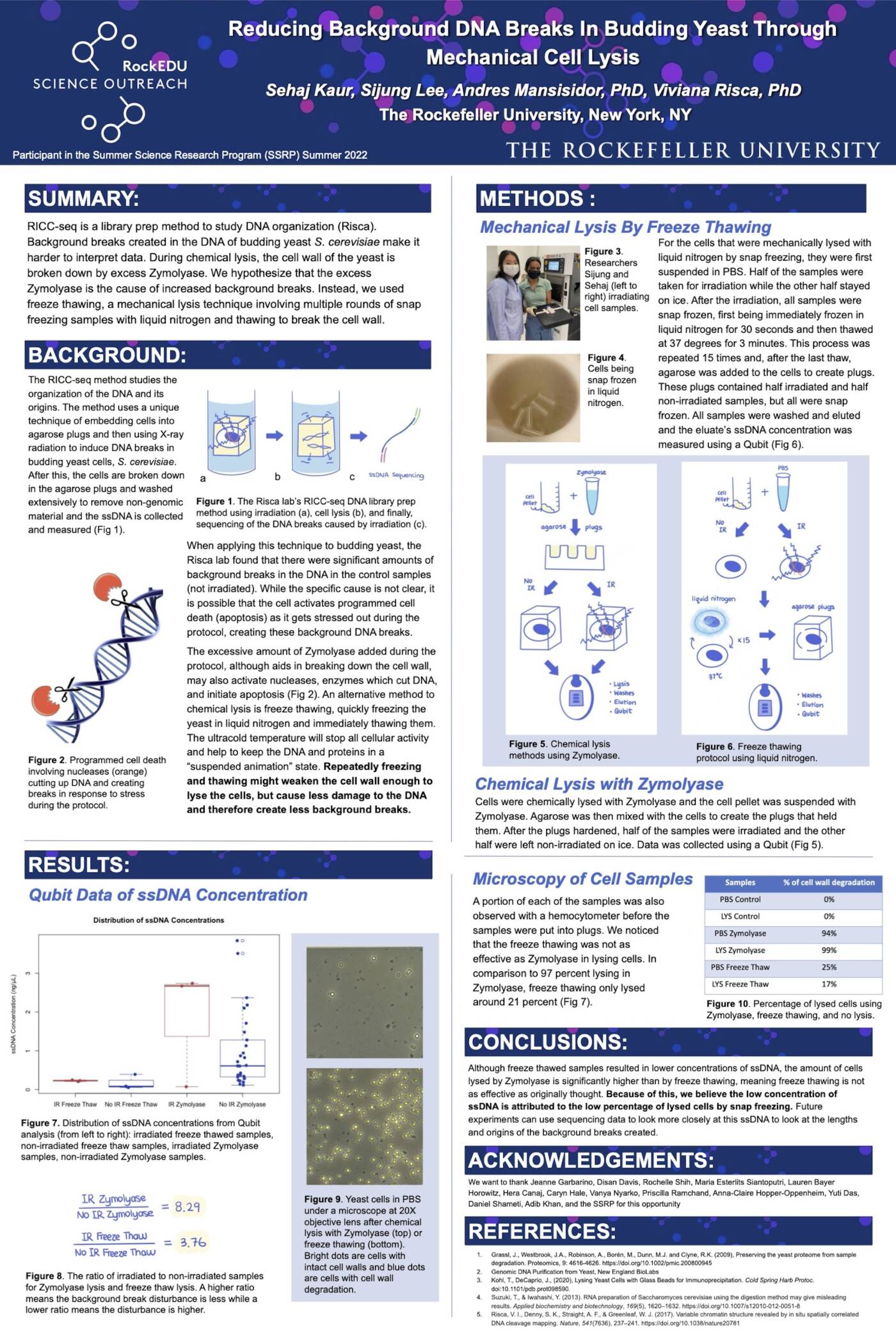 Reducing Background DNA Breaks In Budding Yeast Through Mechanical Cell Lysis