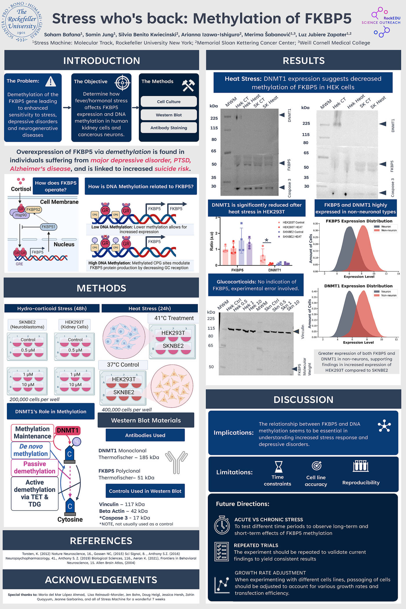 Stress Who's Back: Methylation of FKBP5