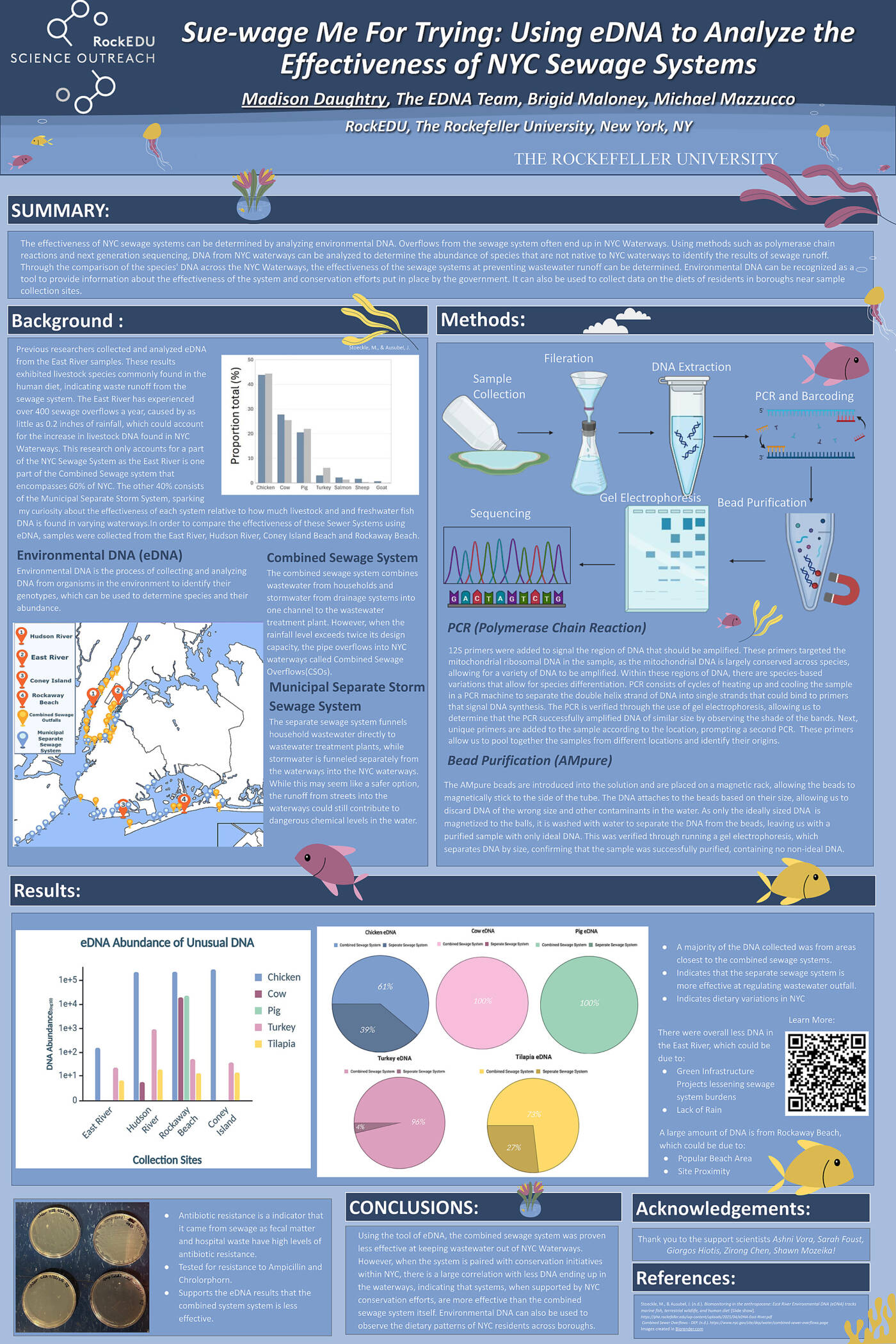Sue-wage Me For Trying: Using eDNA to Analyze the Effectiveness of NYC Sewage Systems