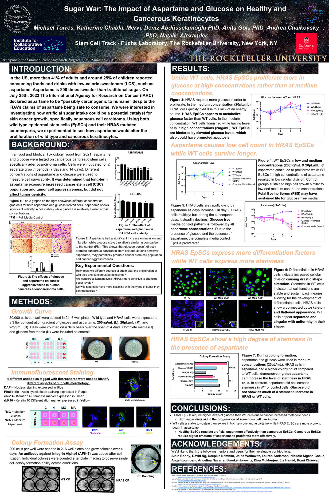 Sugar War: The Impact of Aspartame and Glucose on Healthy and Cancerous Keratinocytes