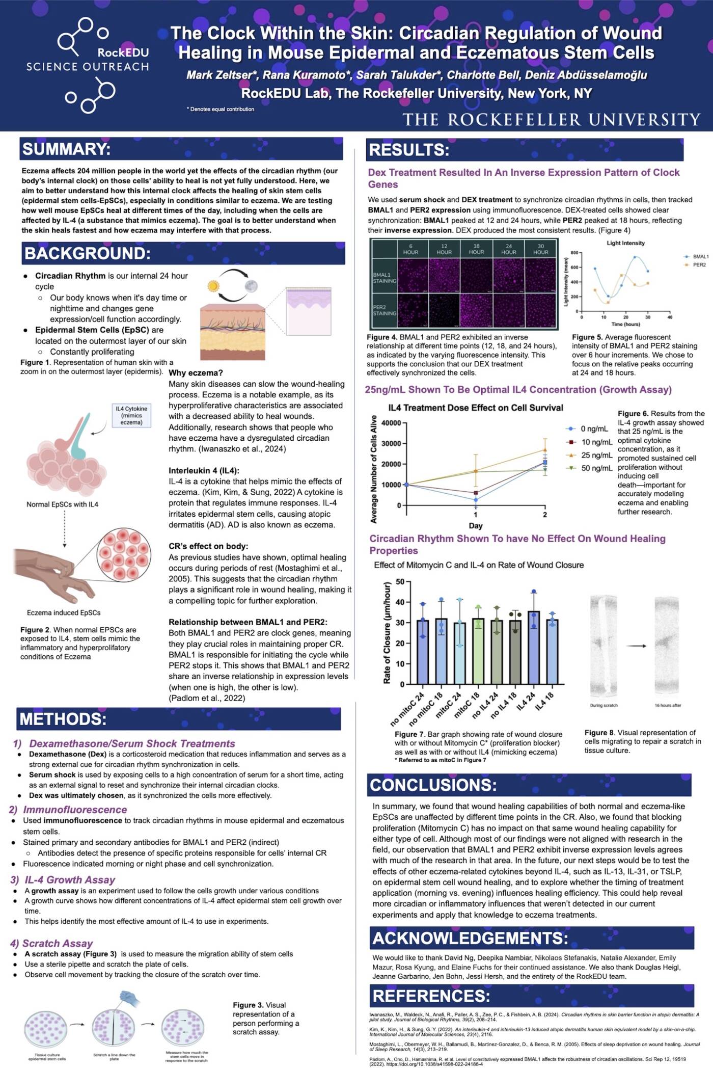 The Clock Within the Skin: Circadian Regulation of Wound Healing in Mouse Epidermal and Eczematous Stem Cells