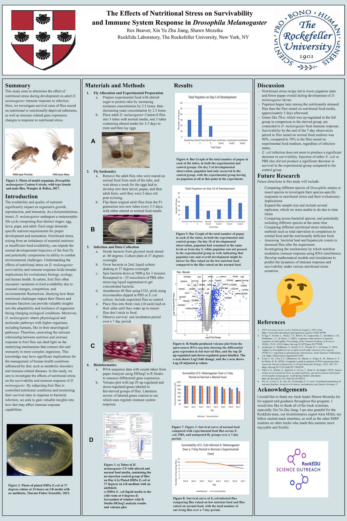 The Effects of Nutritional Stress on Survivability and Immune System Response in Drosophila Melanogaster