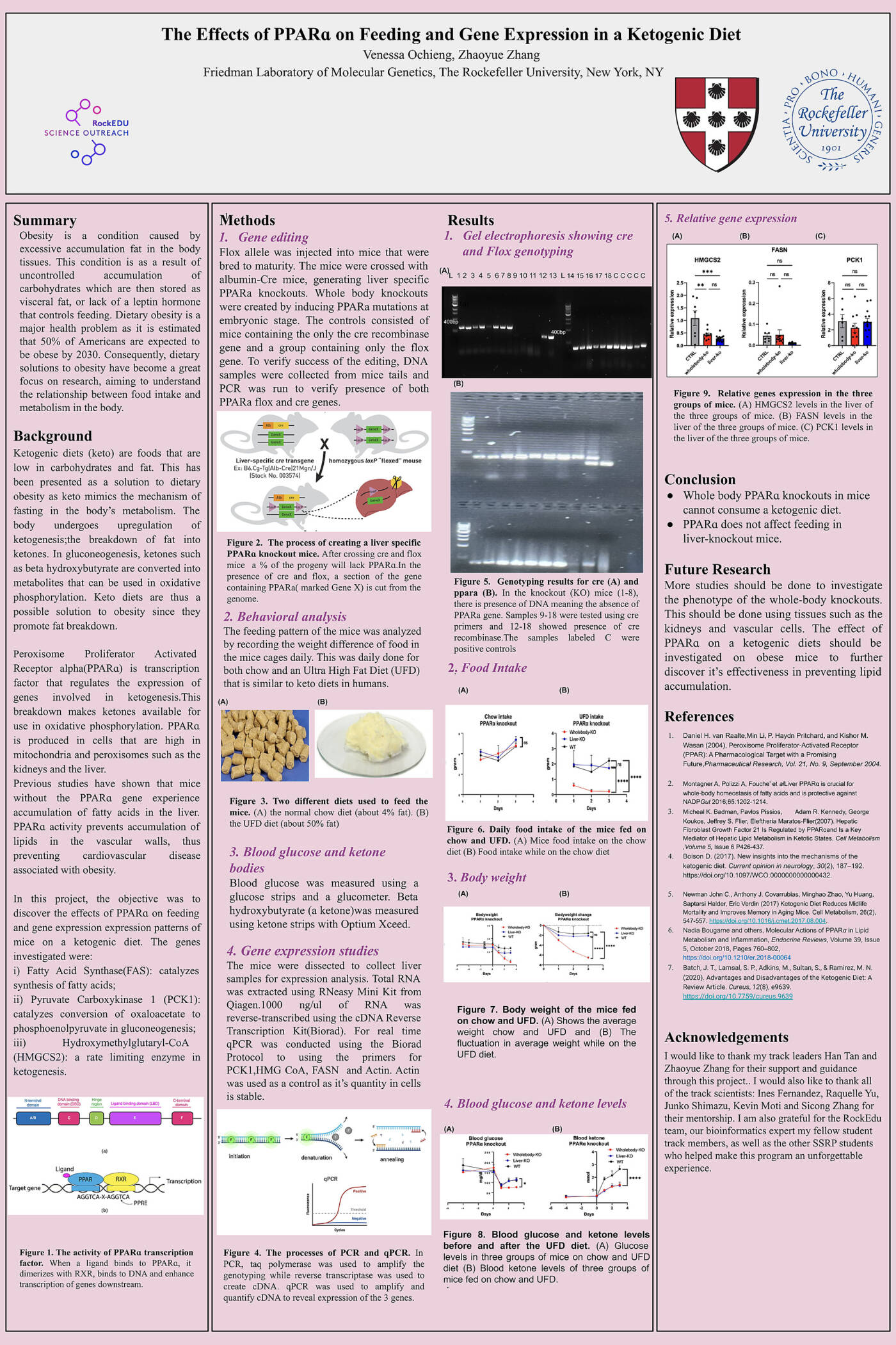 The Effects of PPAR Alpha on Feeding and Gene Expression in a Ketogenic Diet