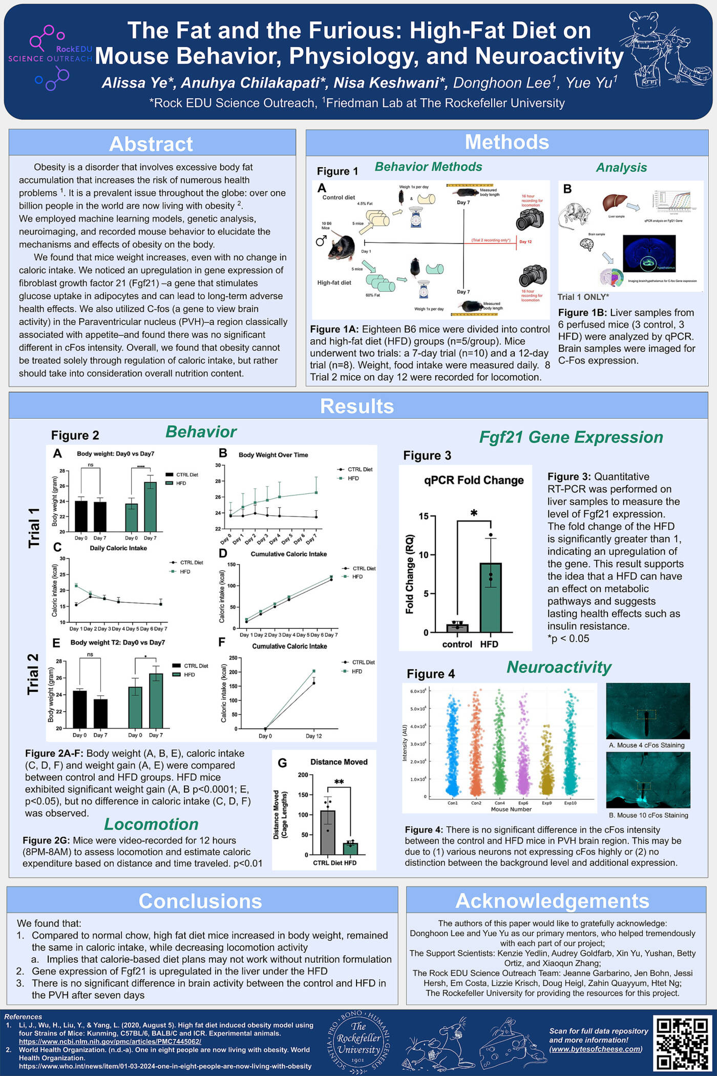 The Fat and the Furious: High-Fat Diet on Mouse Behavior, Physiology, and Neuroactivity