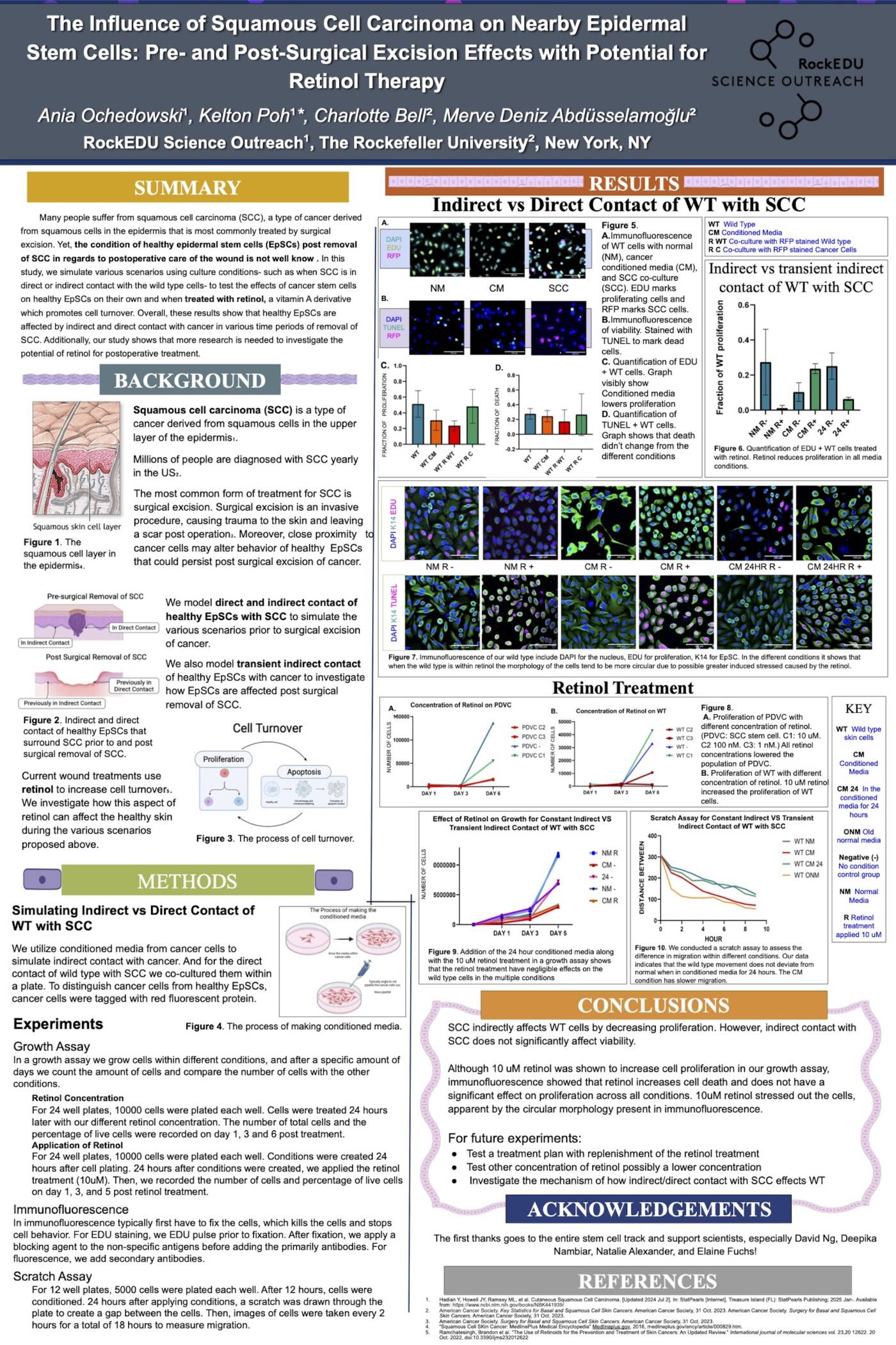 The Influence of Squamous Cell Carcinoma on Nearby Epidermal Stem Cells: Pre- and Post-Surgical Excision Effects with Potential for Retinol Therapy