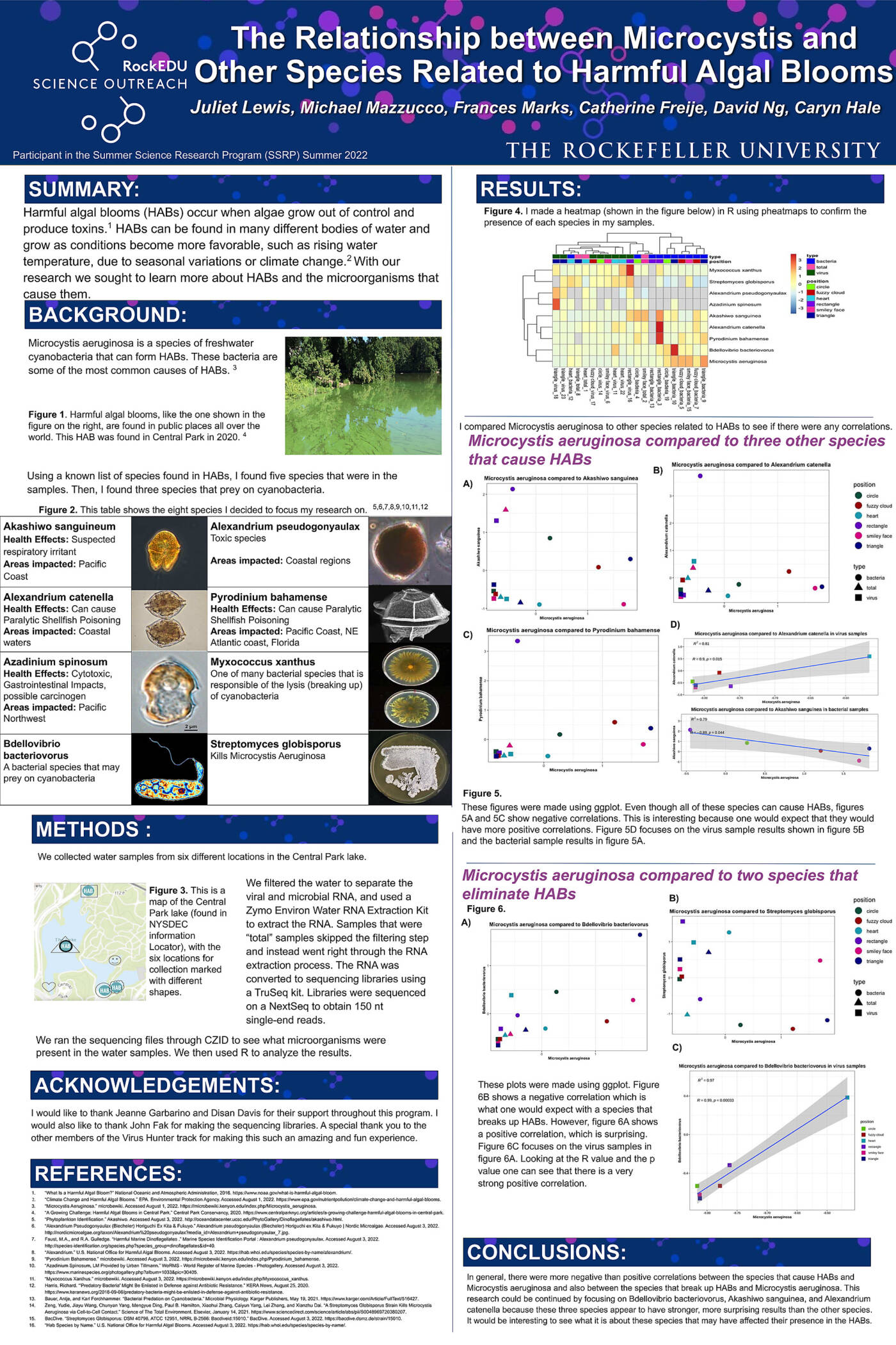 The Relationship Between Microcystis and Other Species Related to Harmful Algal Blooms