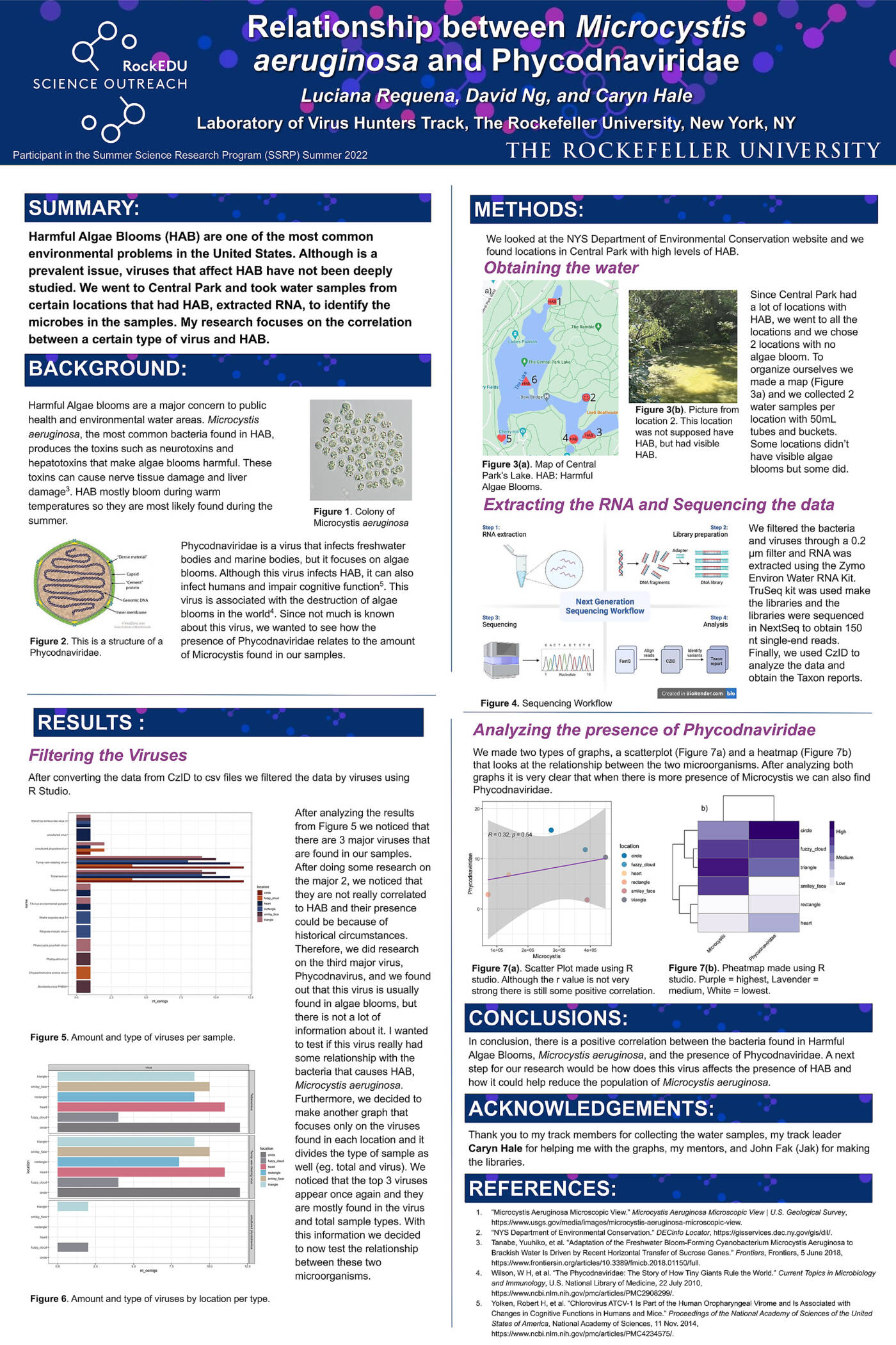 The Relationship between Microcystis aeruginosa and Phycodnaviridae
