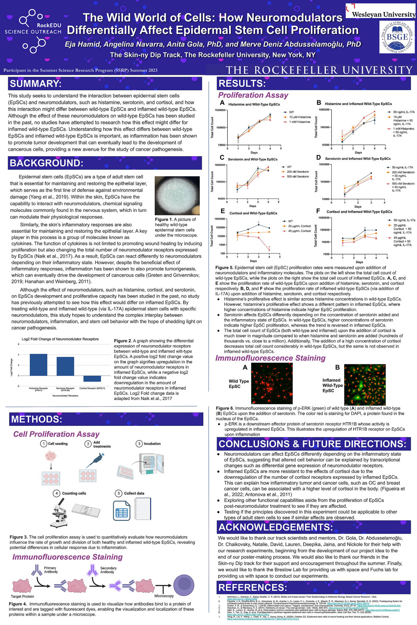 The Wild World of Cells: How Neuromodulators Differentially Affect Epidermal Stem Cell Proliferation
