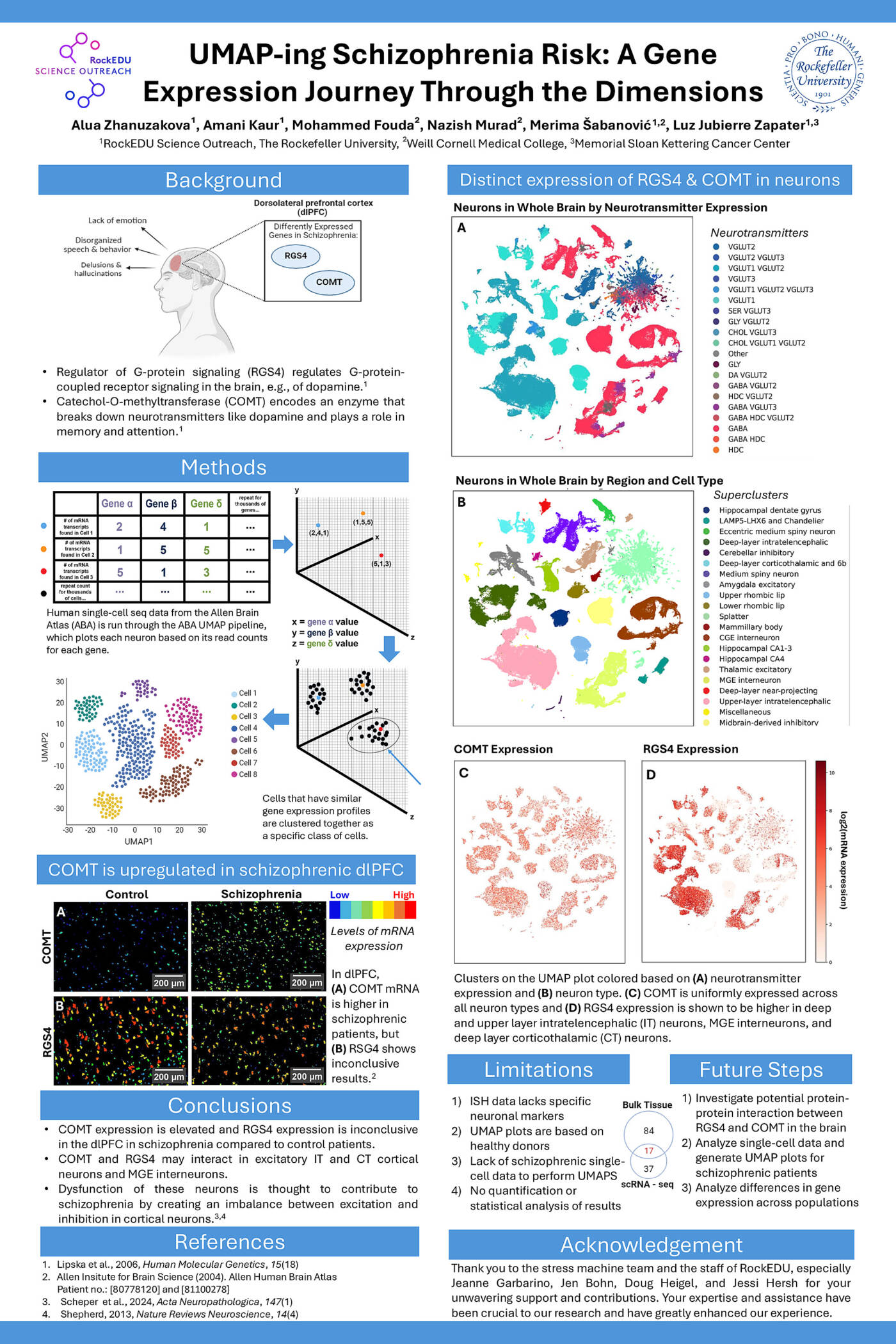 UMAP-ing Schizophrenia Risk: A Gene Expression Journey Through the Dimensions