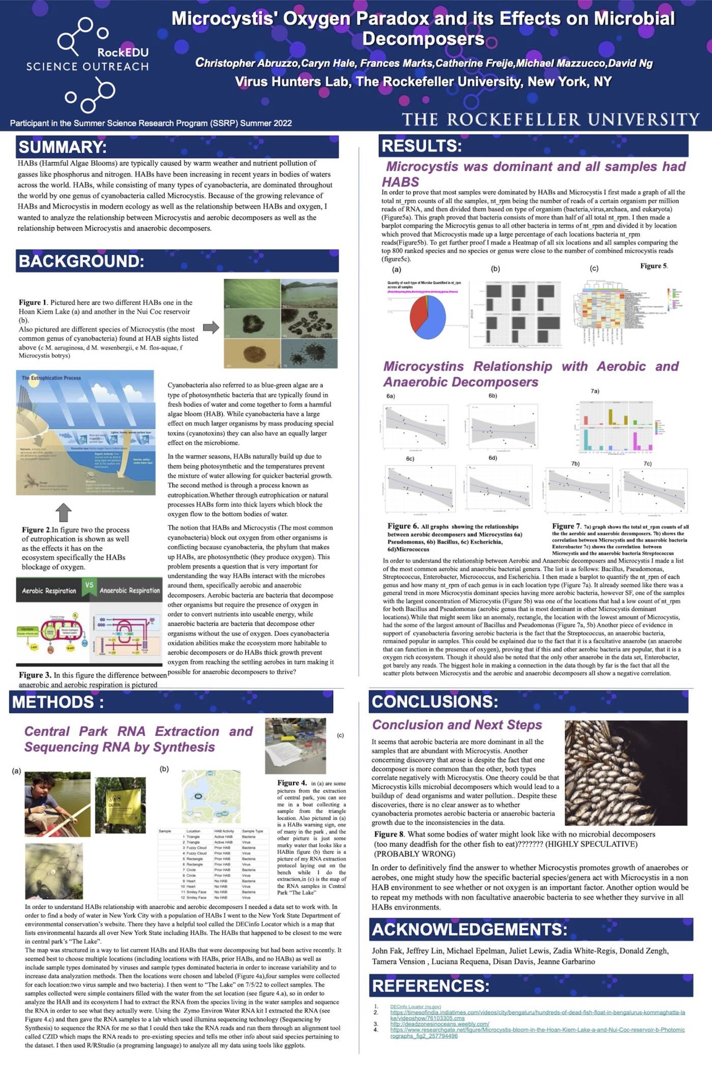 Microcystis' Oxygen Paradox and its Effects on Microbial Decomposers