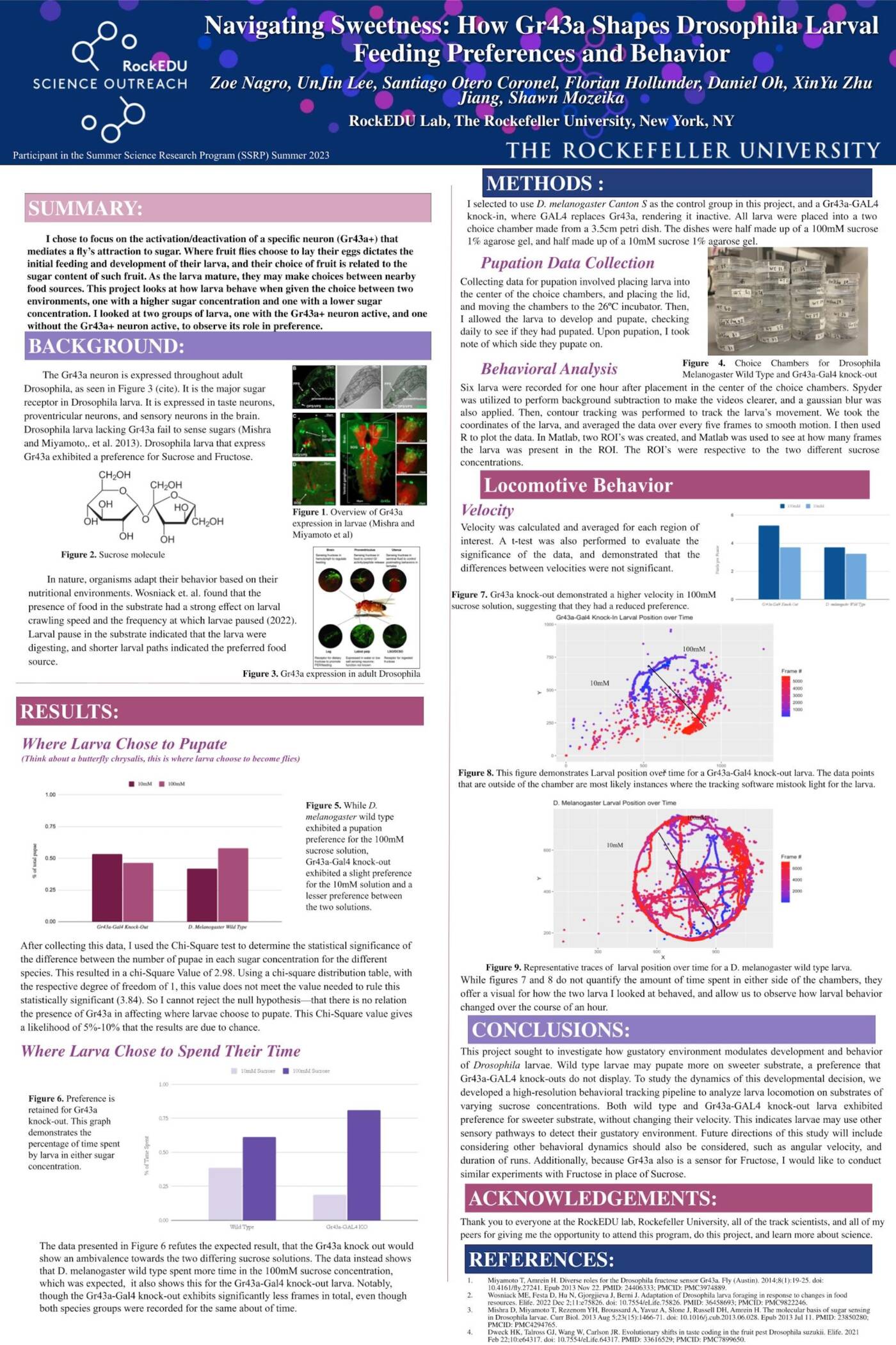 Navigating Sweetness: How Gr43a Shapes Drosophila Larval Feeding Preferences and Behavior