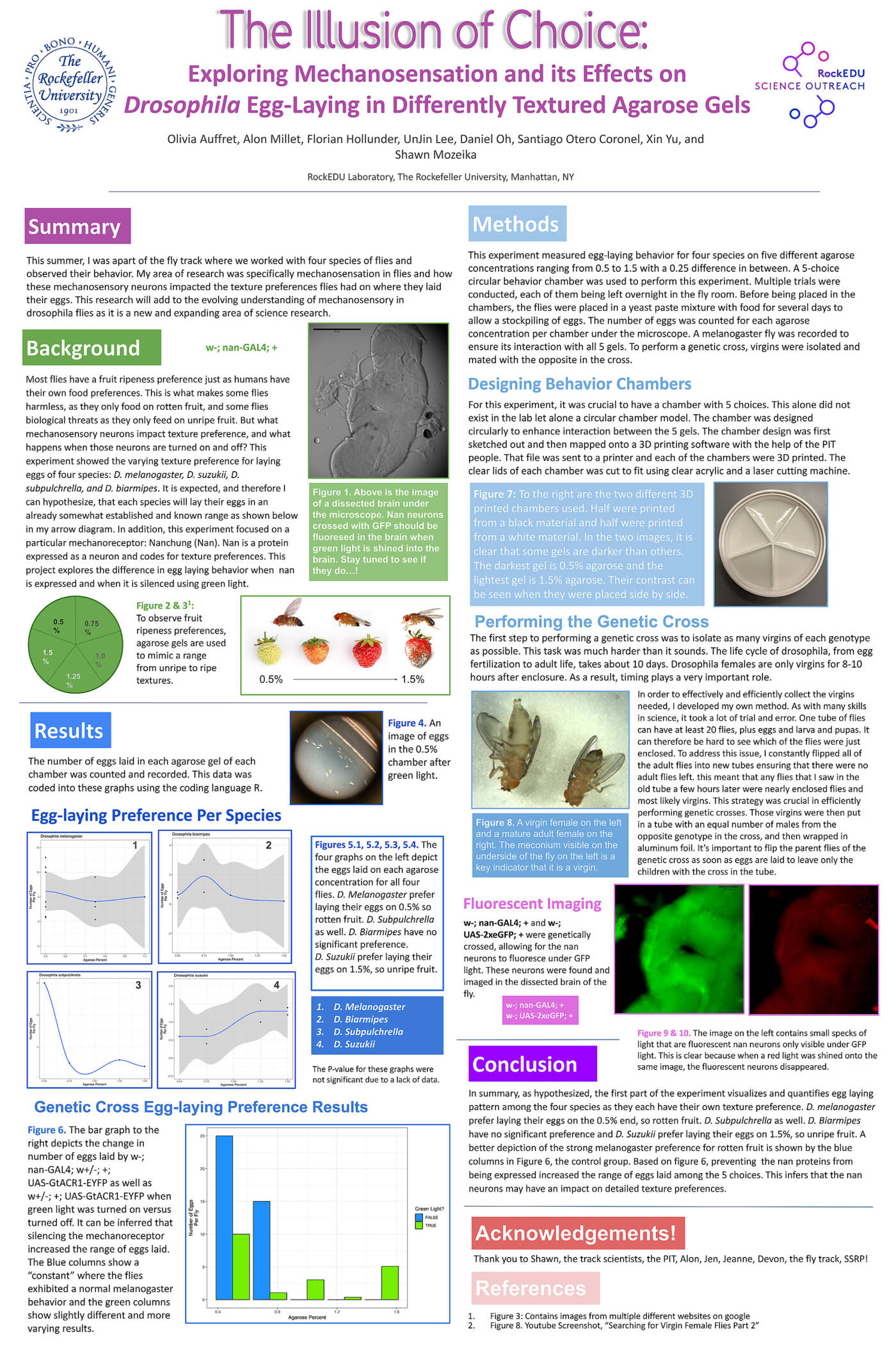 An Illusion of Choice: Exploring Mechanosensation and its Effects on Drosophila Egg-laying in Different Textured Agarose Gels