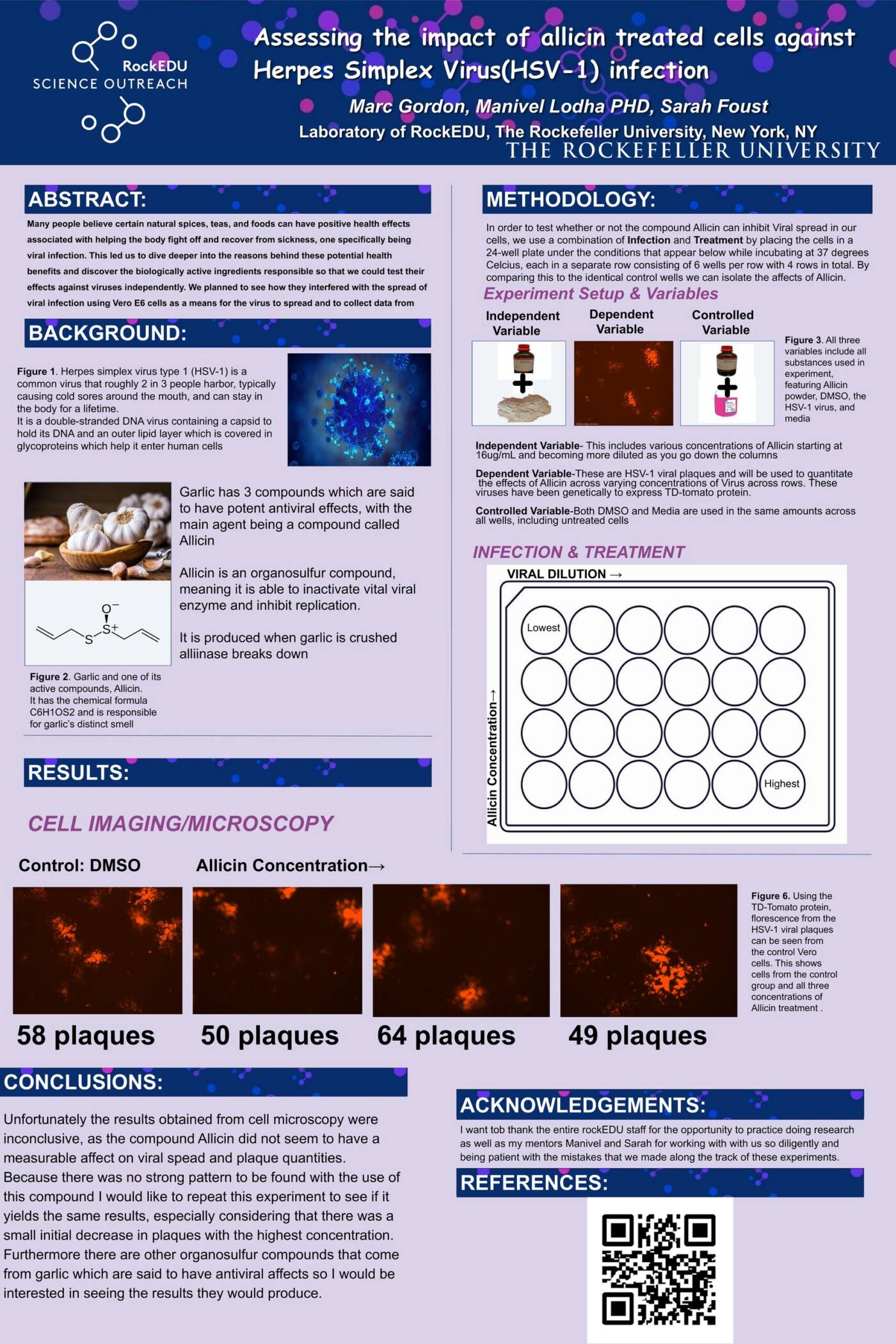 Assessing the impact of allicin treated cells against Herpes Simplex Virus(HSV-1) infection