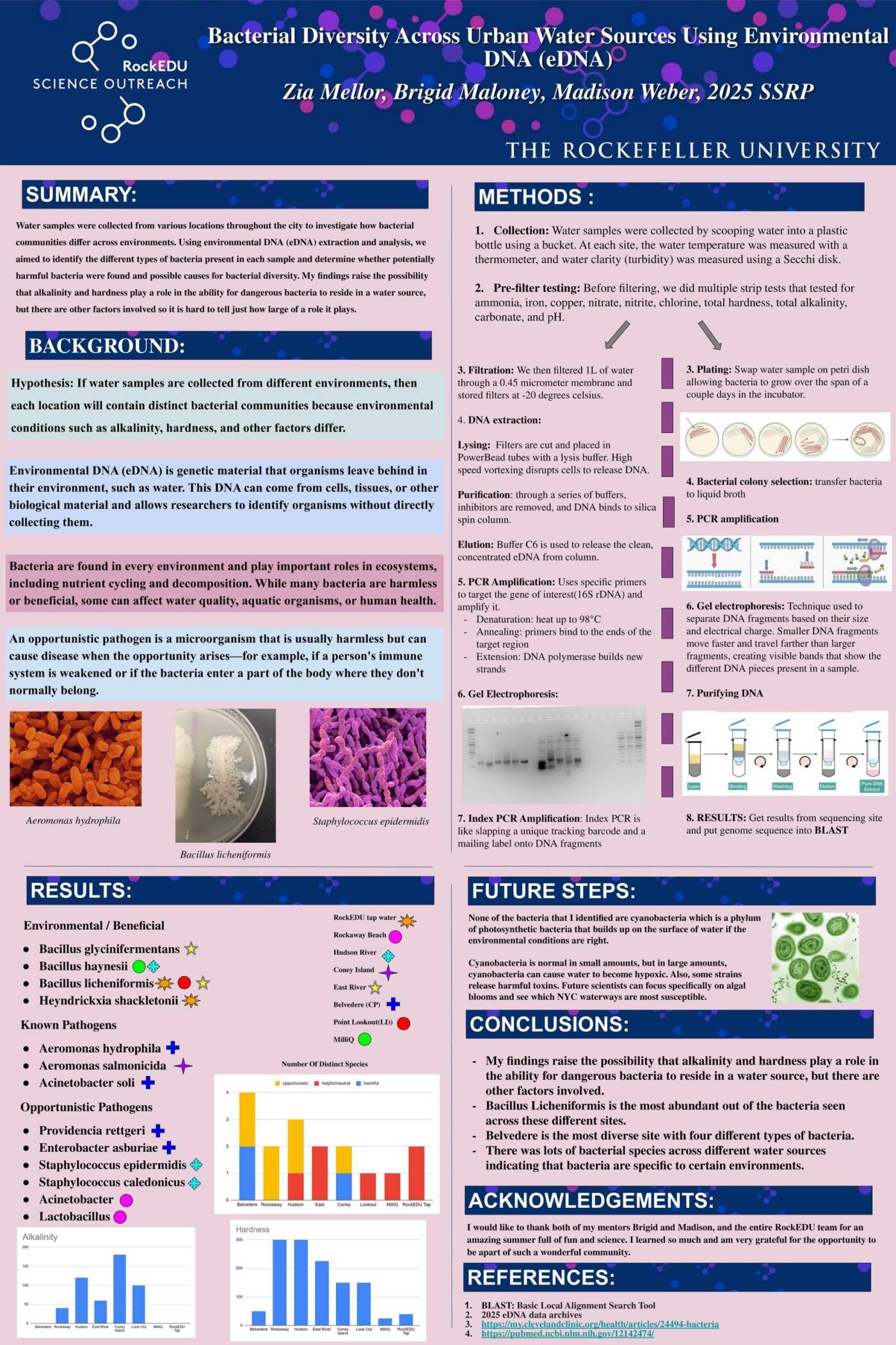 Bacterial Diversity Across Urban Water Sources Using Environmental DNA (eDNA)